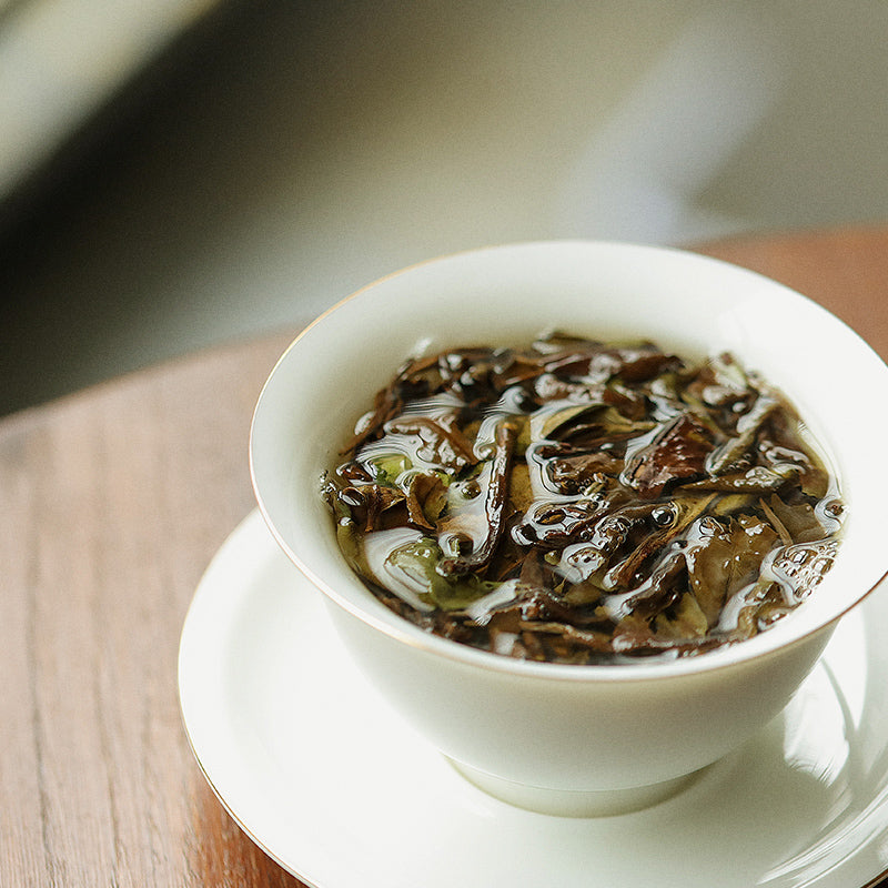 This is Chinese aged white tea shou mei tea