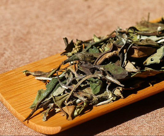 This is Chinese aged white tea shou mei tea