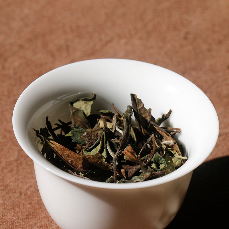 This is Chinese aged white tea shou mei tea