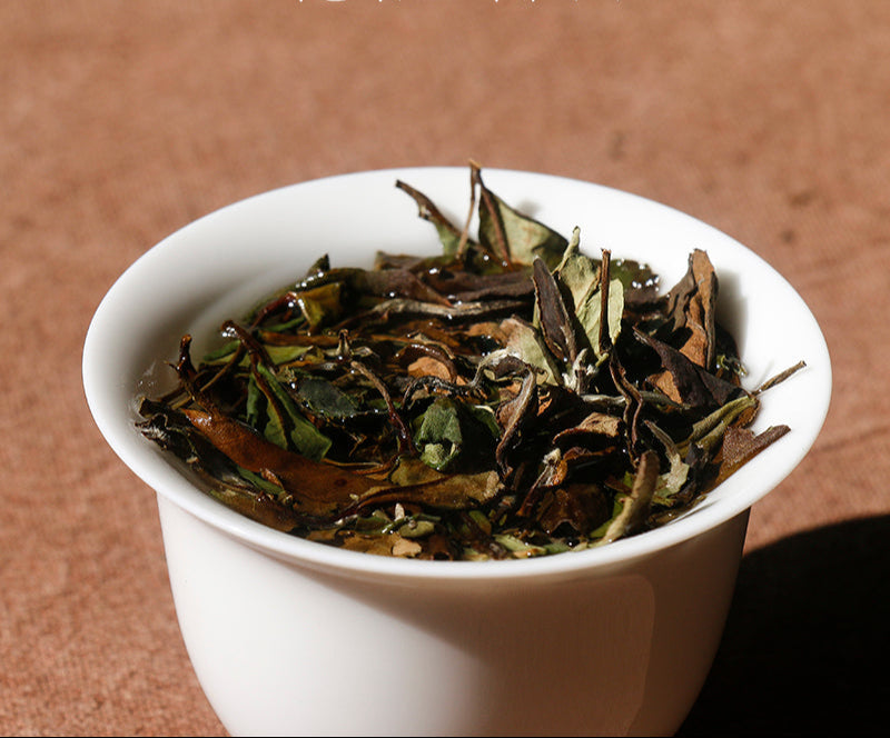 This is Chinese aged white tea shou mei tea