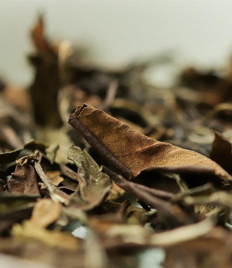 This is Chinese aged white tea shou mei tea