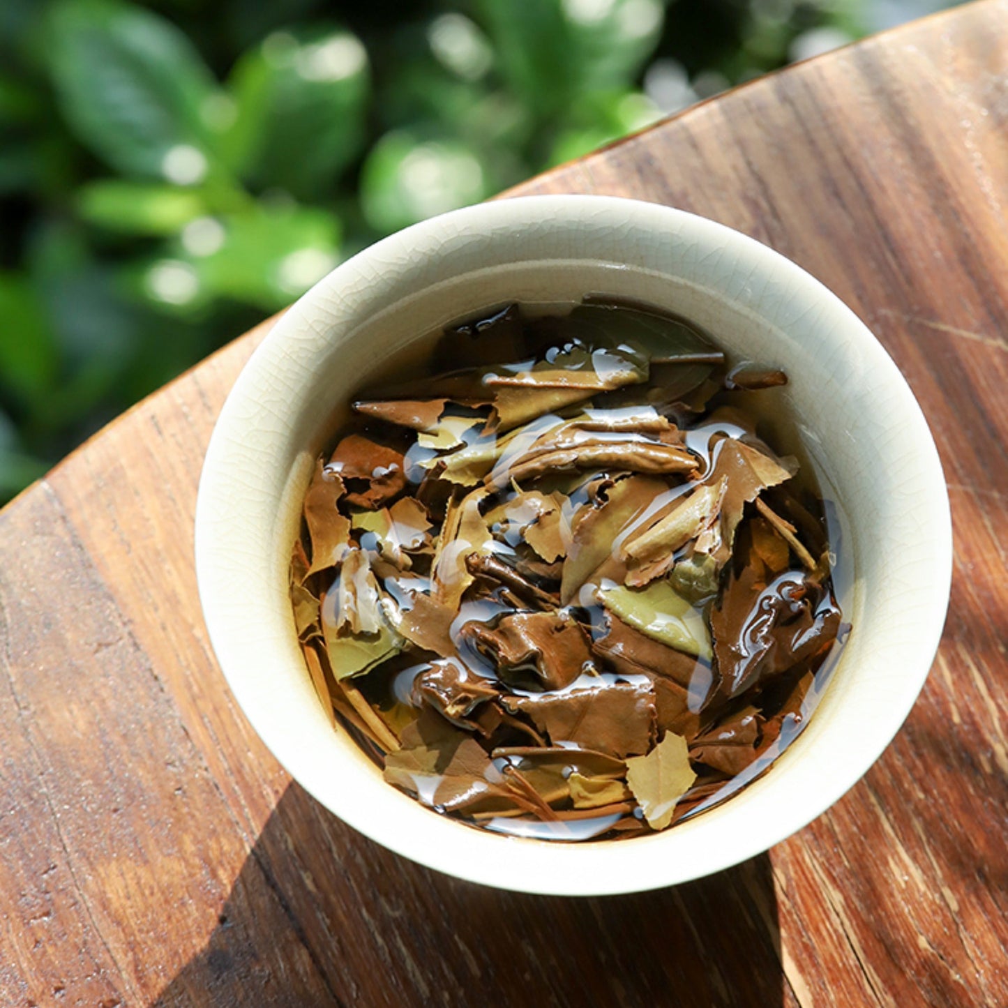 This is Chinese aged white tea shou mei tea