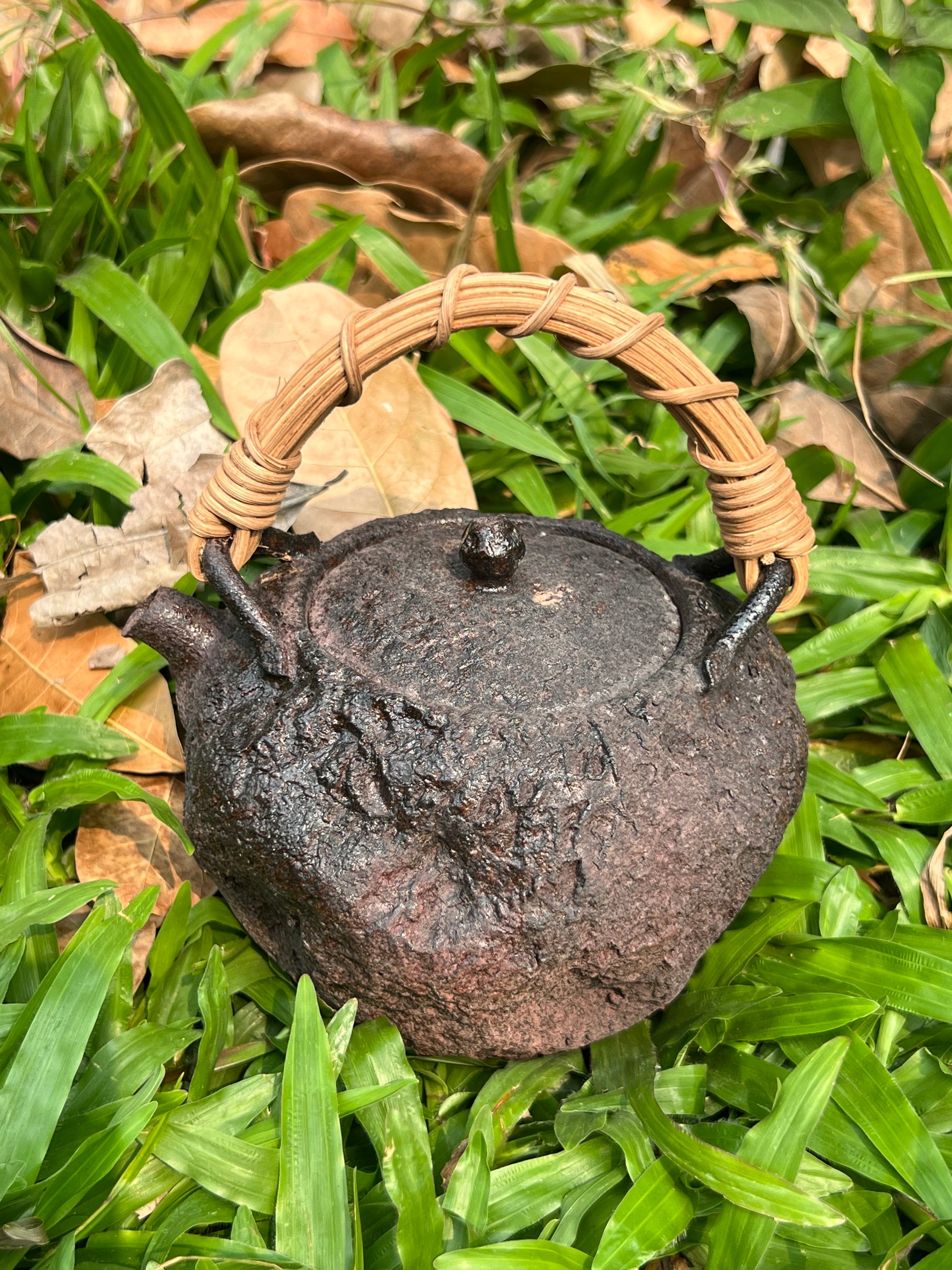 This is a pottery lifting handle kettle