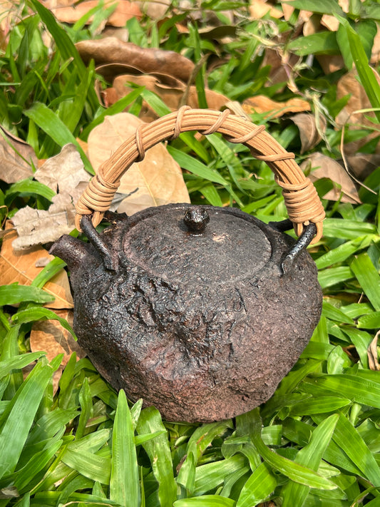 This is a pottery lifting handle kettle