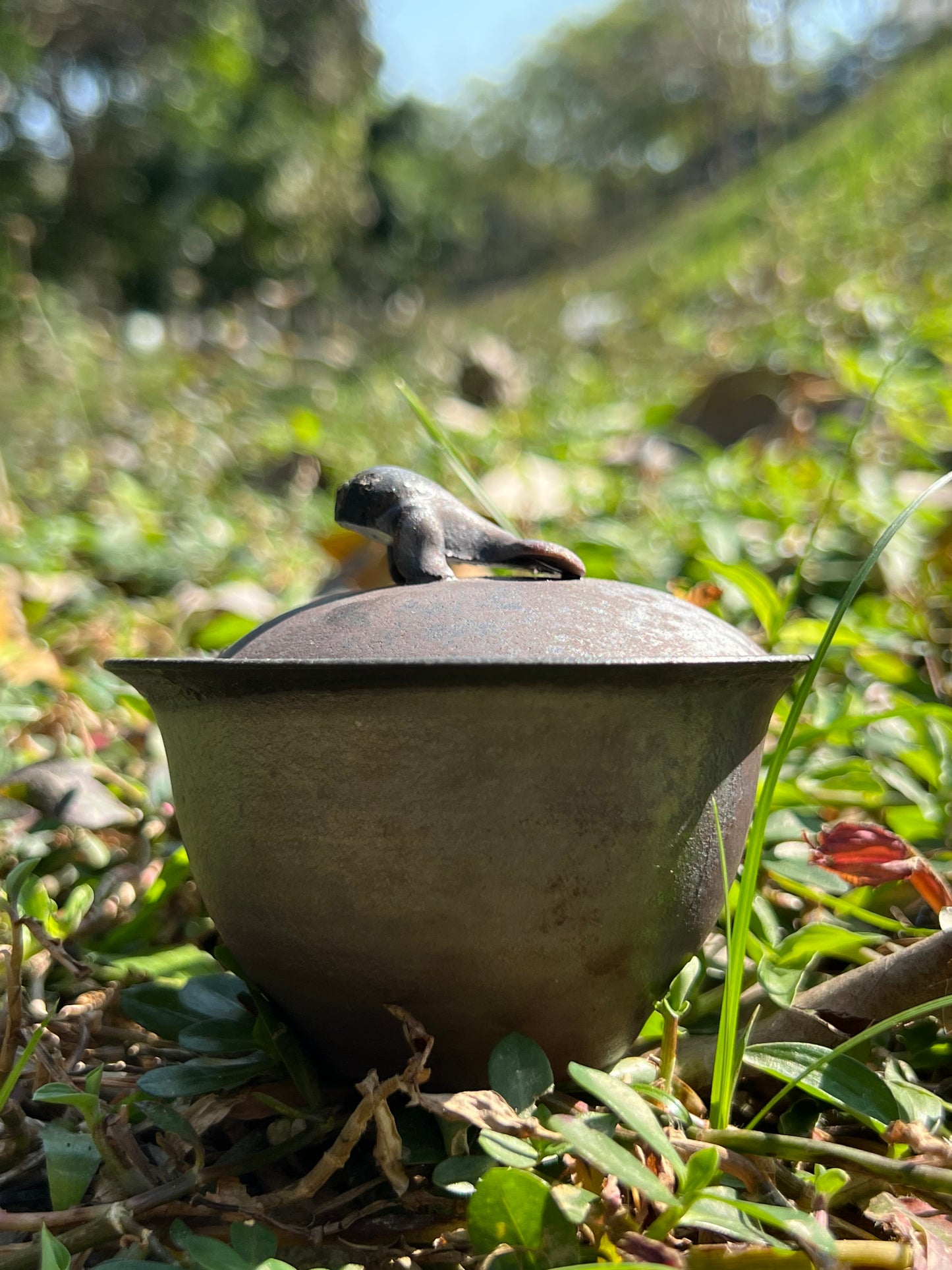 This is a teapot