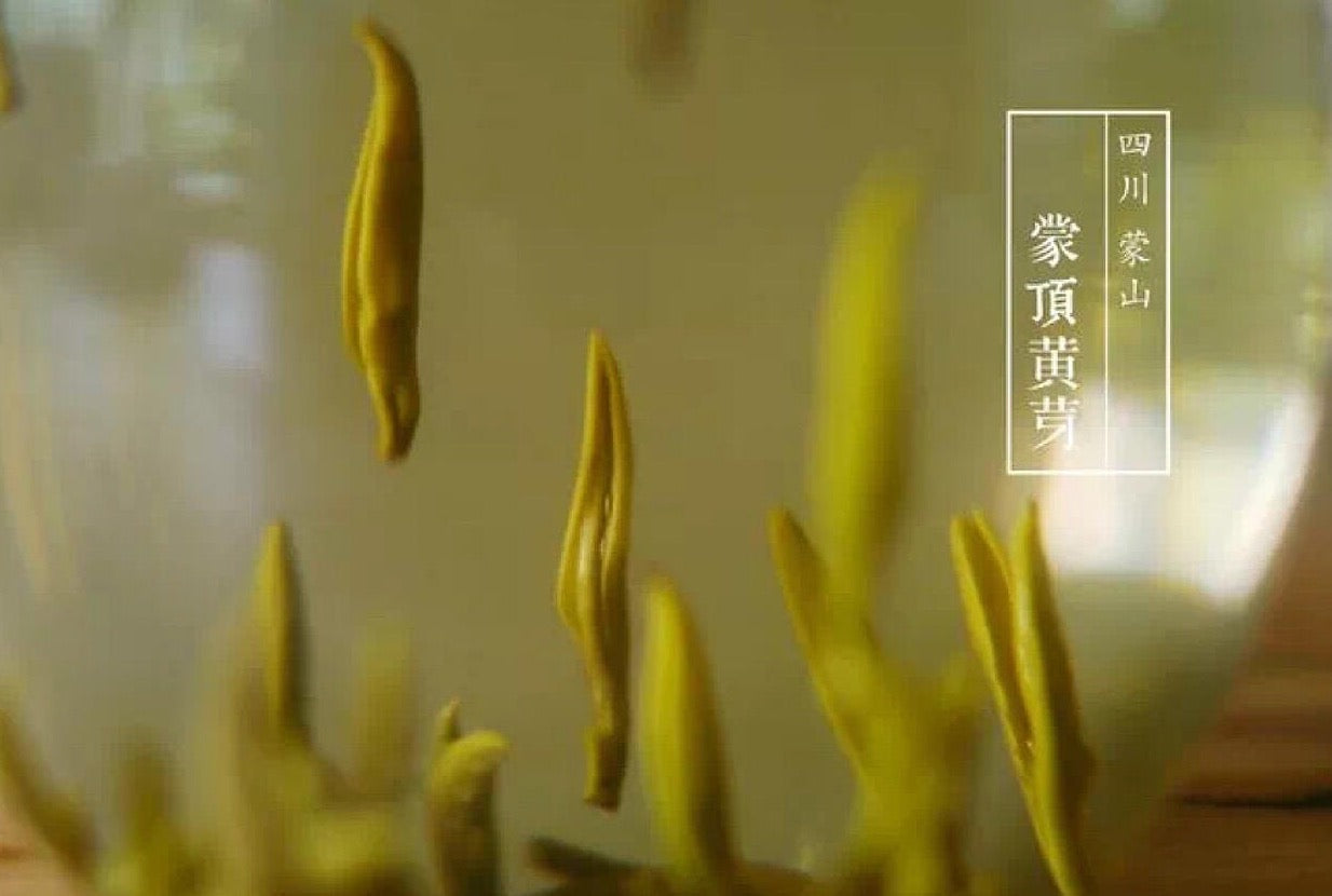 Chinese Premium Yellow Tea Mengding Mountain Yellow Buds Tea First Spring Harvest Sichuan Yellow Tea