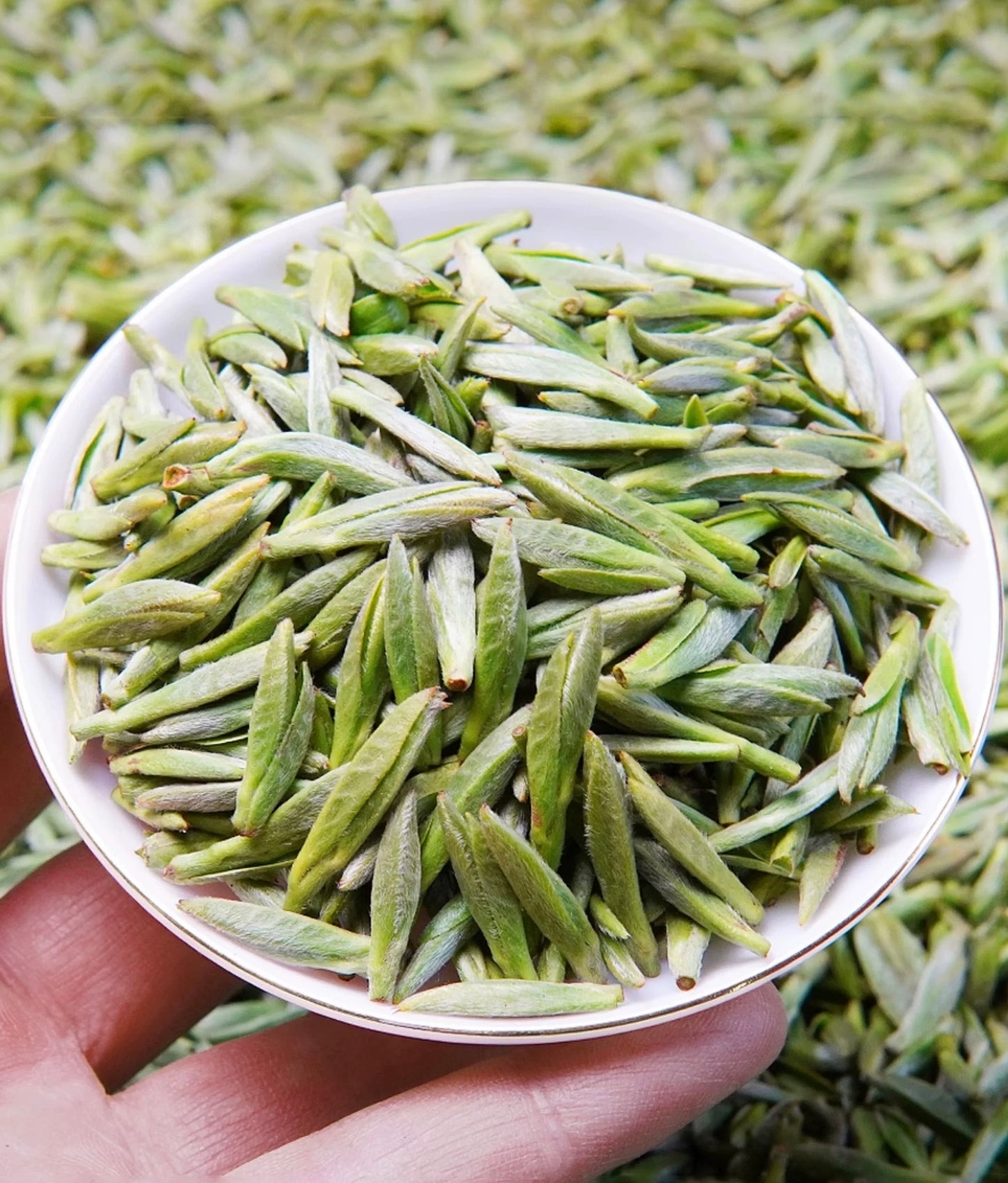 Chinese Green Tea Mengding Ganlu High Mountain Loose Tea Leaf Cold Brew Tea