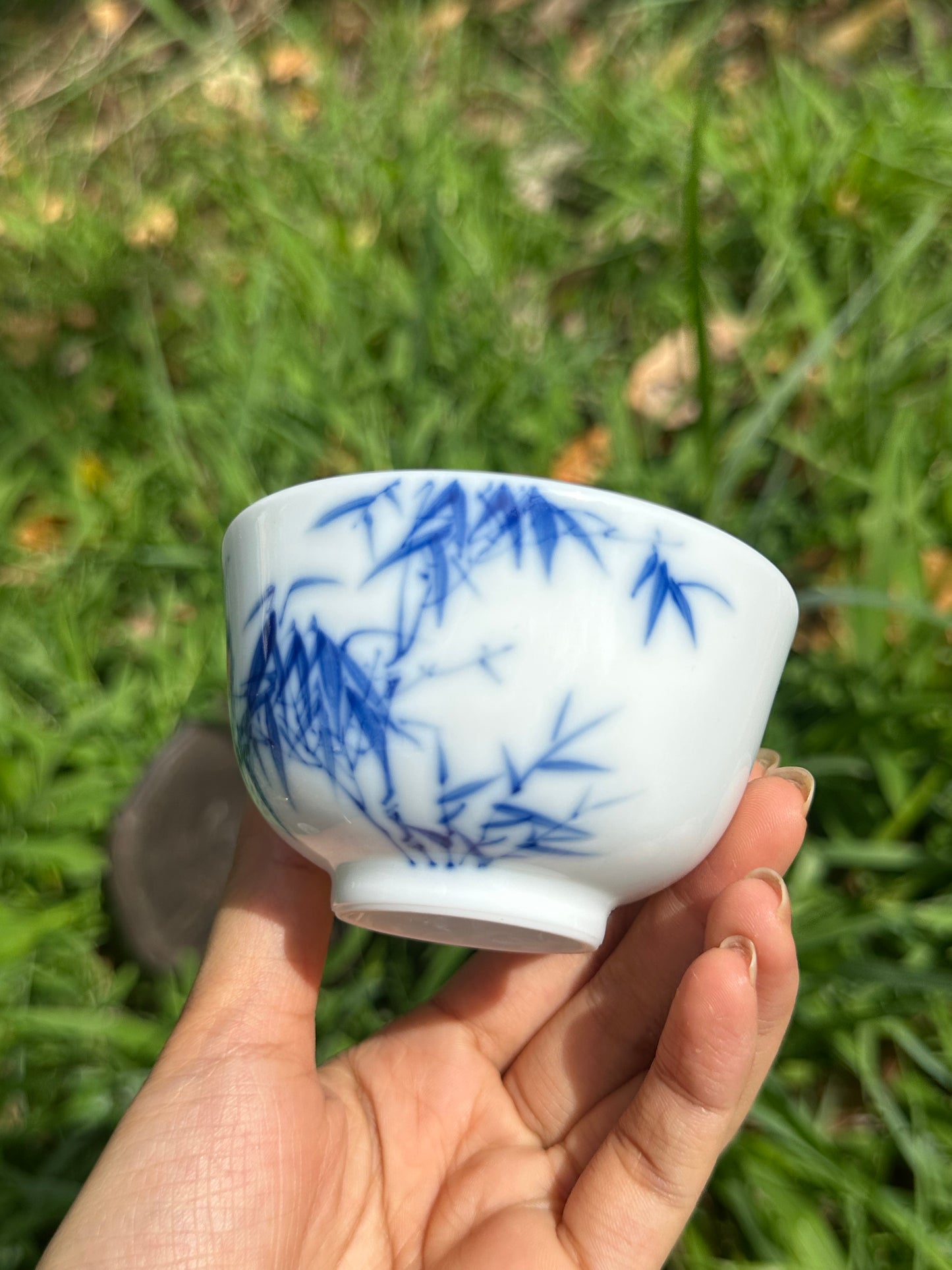 Handpainted Chinese Freehand Brush Work Bird and Bamboo Pattern Teapot Gaiwan Set