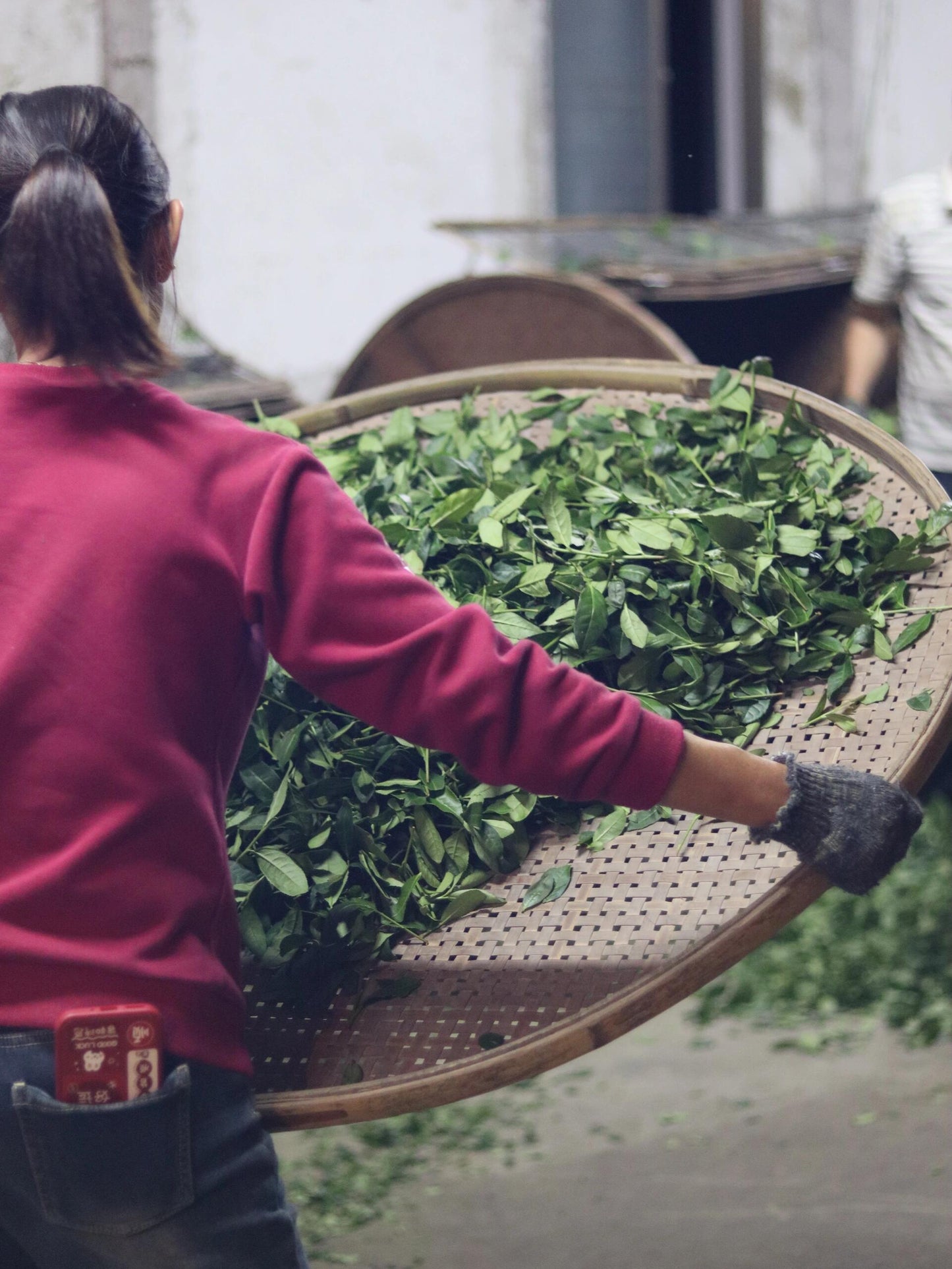 Premium Chinese Sichuan Emei High Mountain New Crafted Black Tea Red Tea