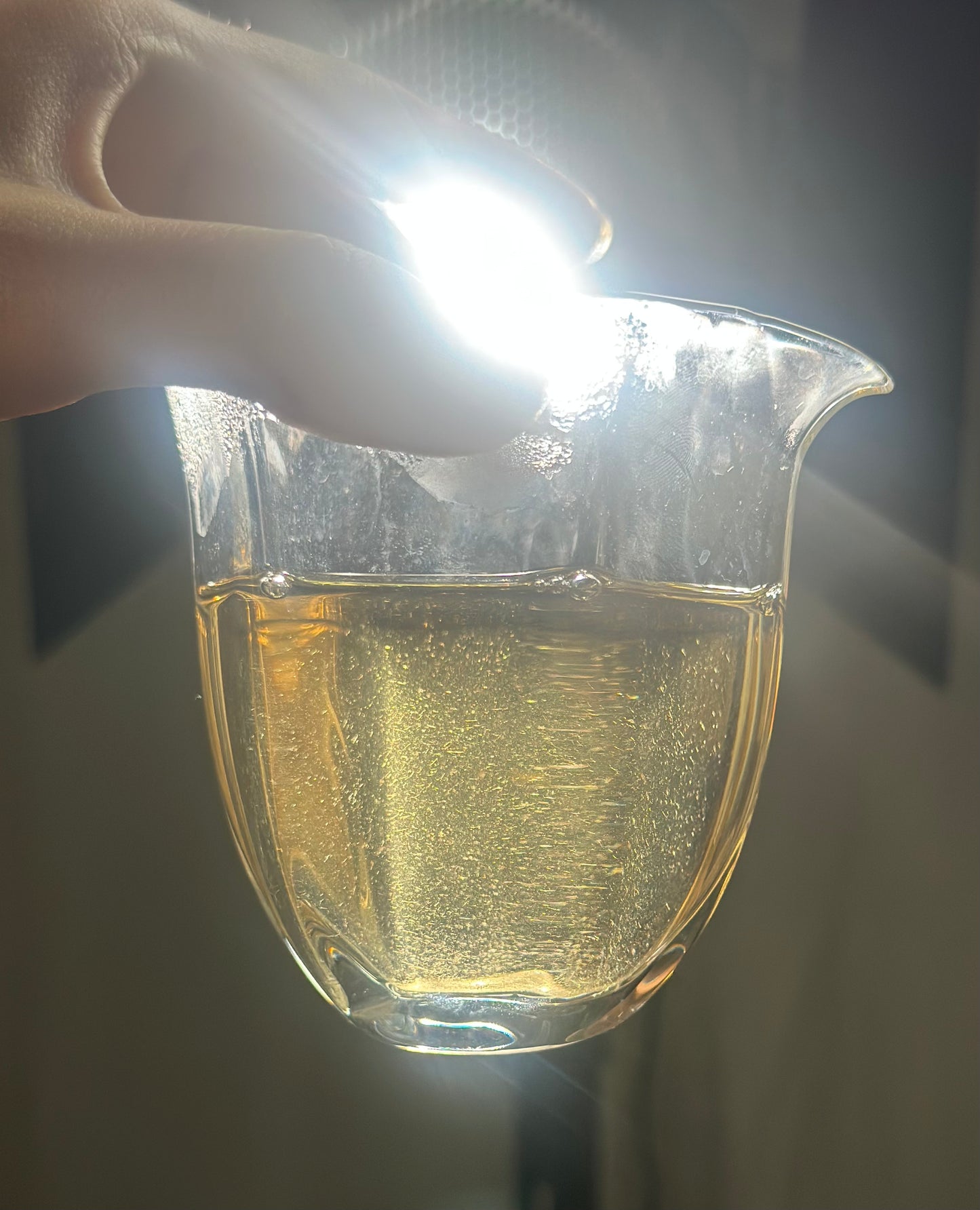 2019 Aged Organic Wild Baimudan Premimum Laocong Taimu Mountain White Peony White Tea Baicha