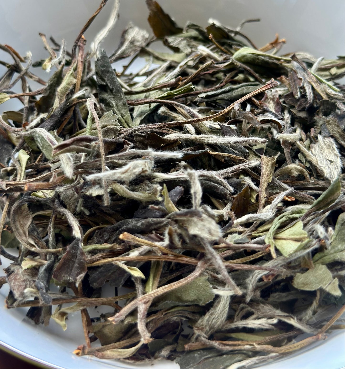 2019 Aged First Piack-up Harvest Organic Baimudan Laocong Old Tea Bush Panxi Organic Wild White Peony White Tea Baicha