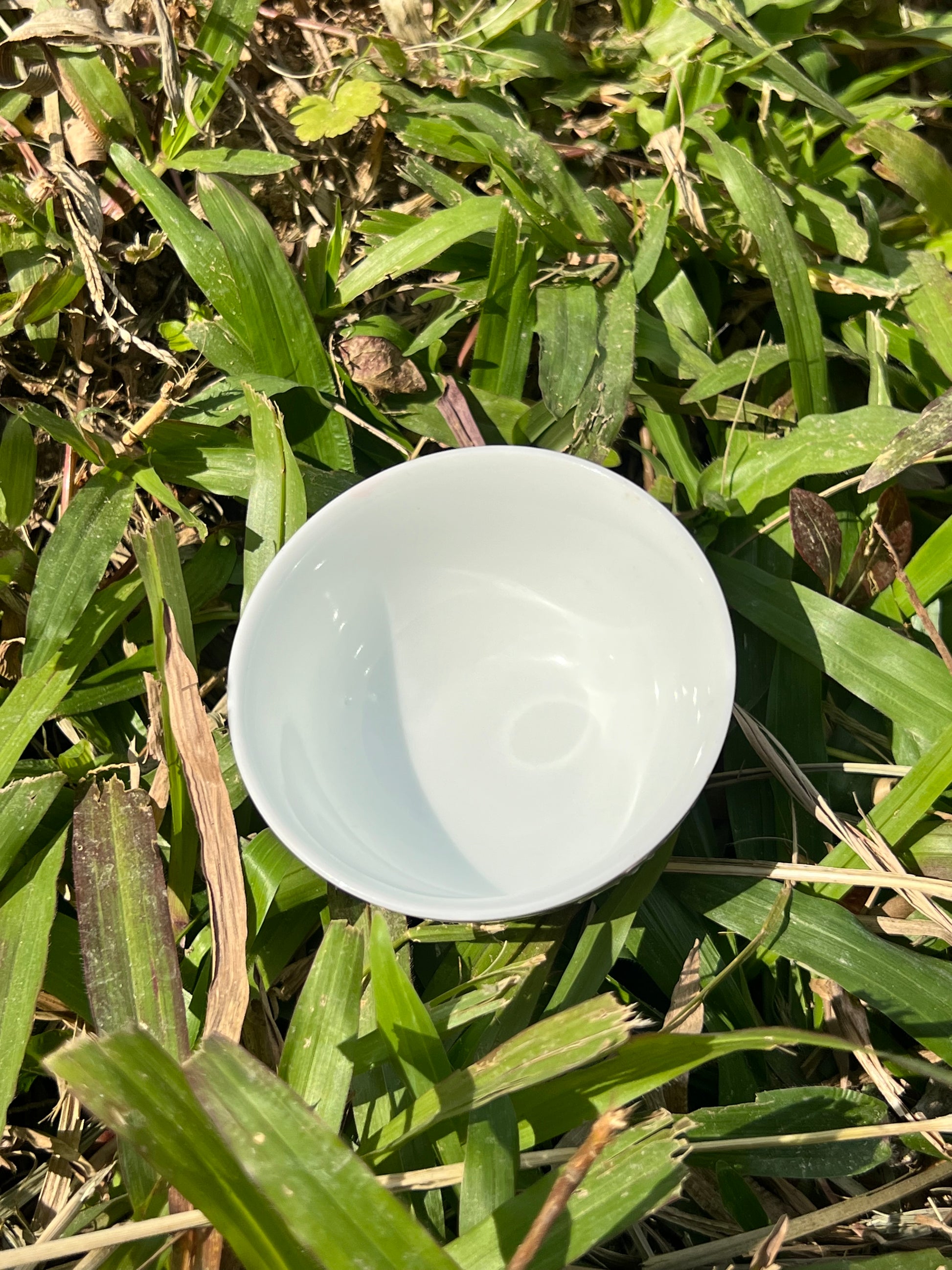 This is Chinese Arita ware teacup. this is a ceramic teacup