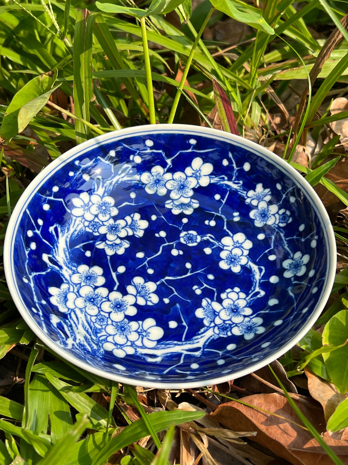 This is Chinese Jingdezhen blue and white porcelain gaiwan. This is a ceramic plum flower teapot