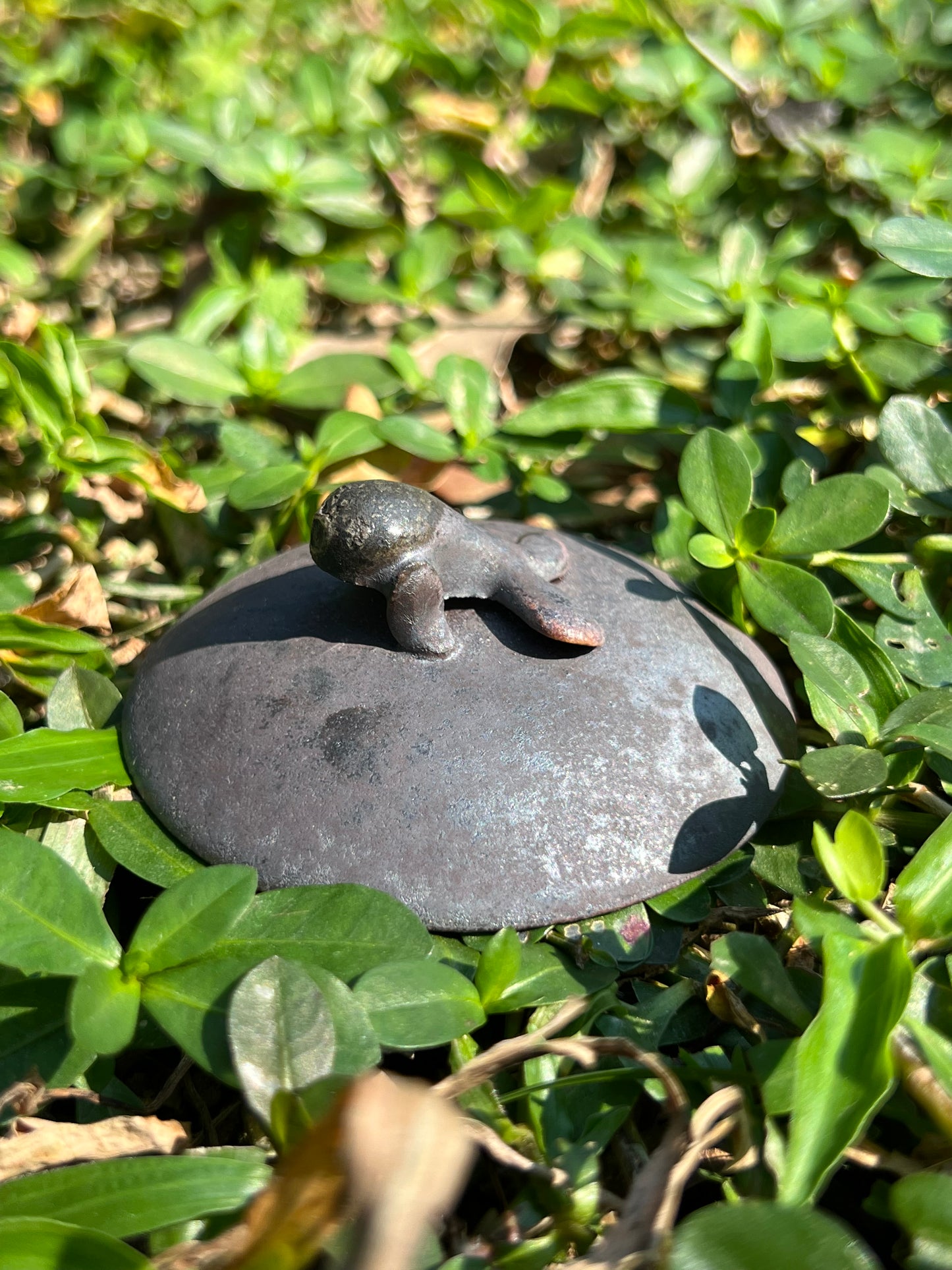 This is a teapot