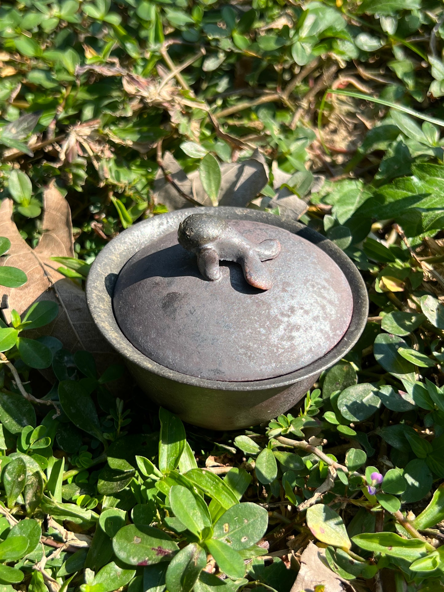 This is a teapot