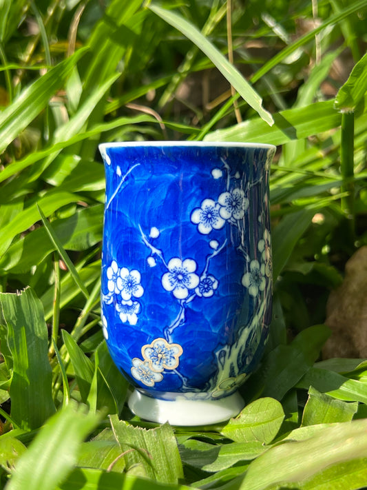 this is Chinese blue and white porcelain teacup