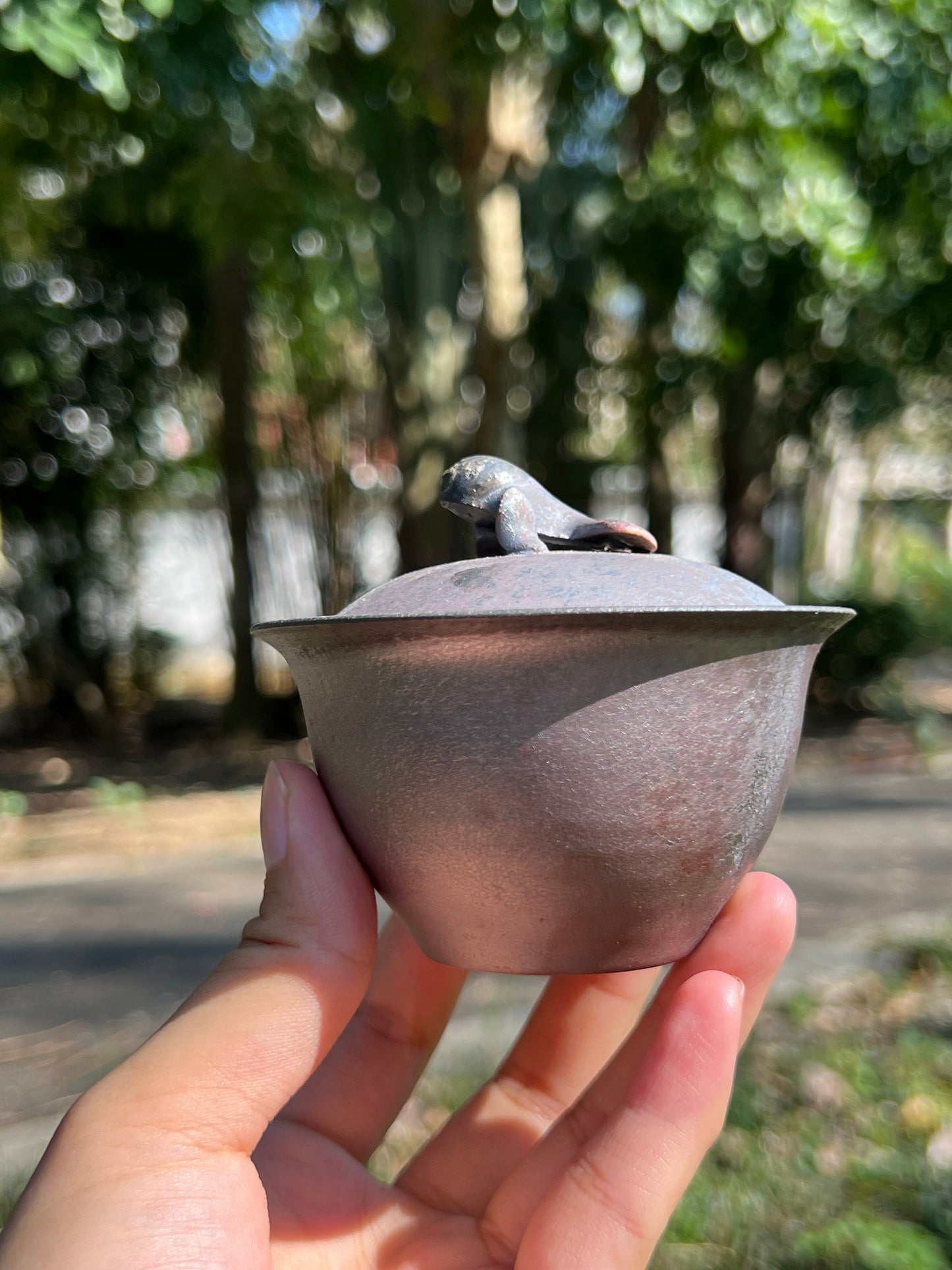 This is a teapot