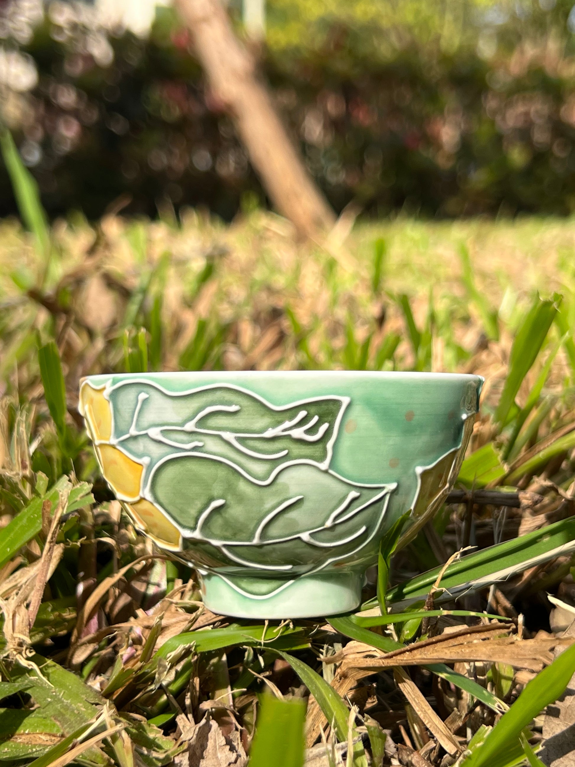 This is Chinese Arita ware teacup. this is a ceramic teacup