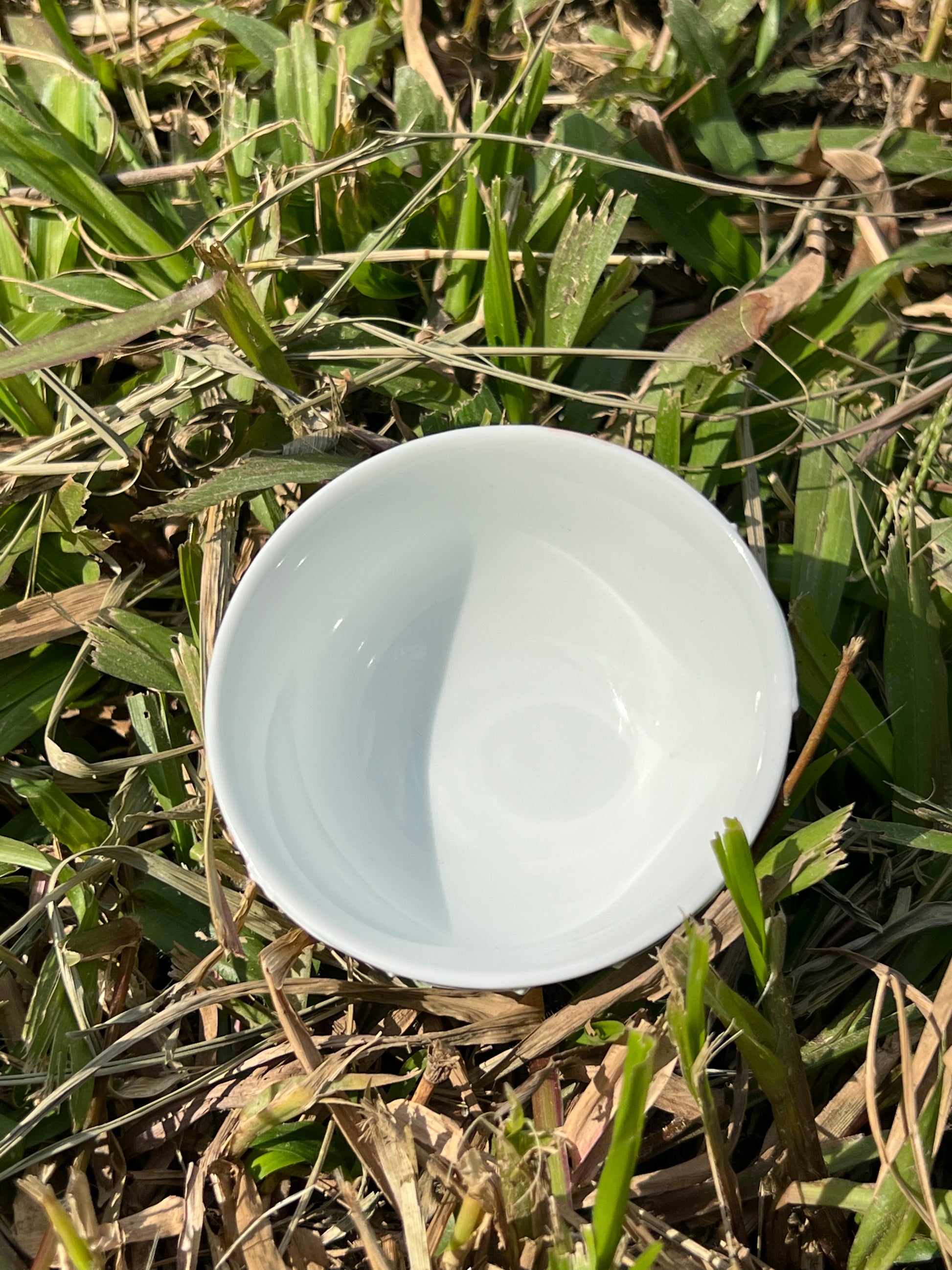 This is Chinese Arita ware teacup. this is a ceramic teacup