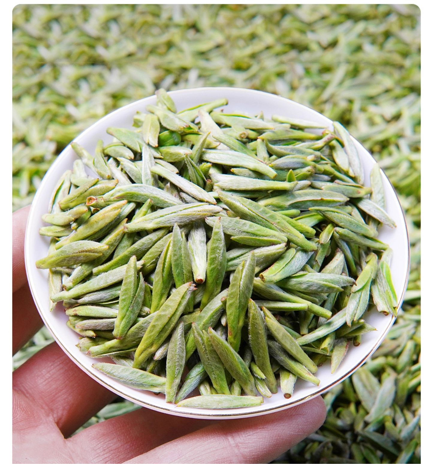 Chinese Premium Yellow Tea Mengding Mountain Yellow Buds Tea First Spring Harvest Sichuan Yellow Tea