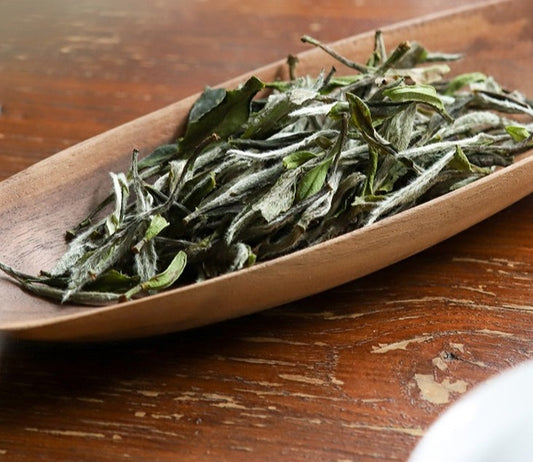 white peony baimudan white tea