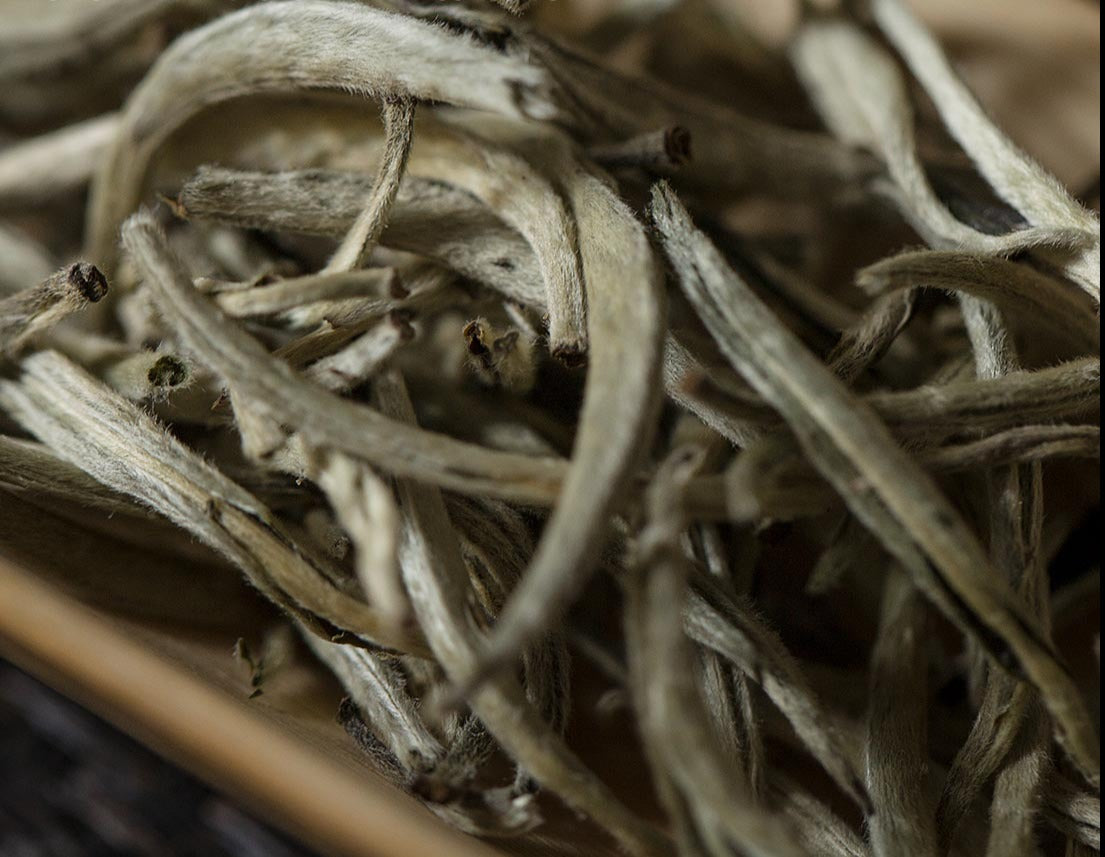 This is Chinese Yunnan silver needle white tea