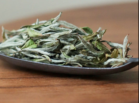 white peony baimudan white tea