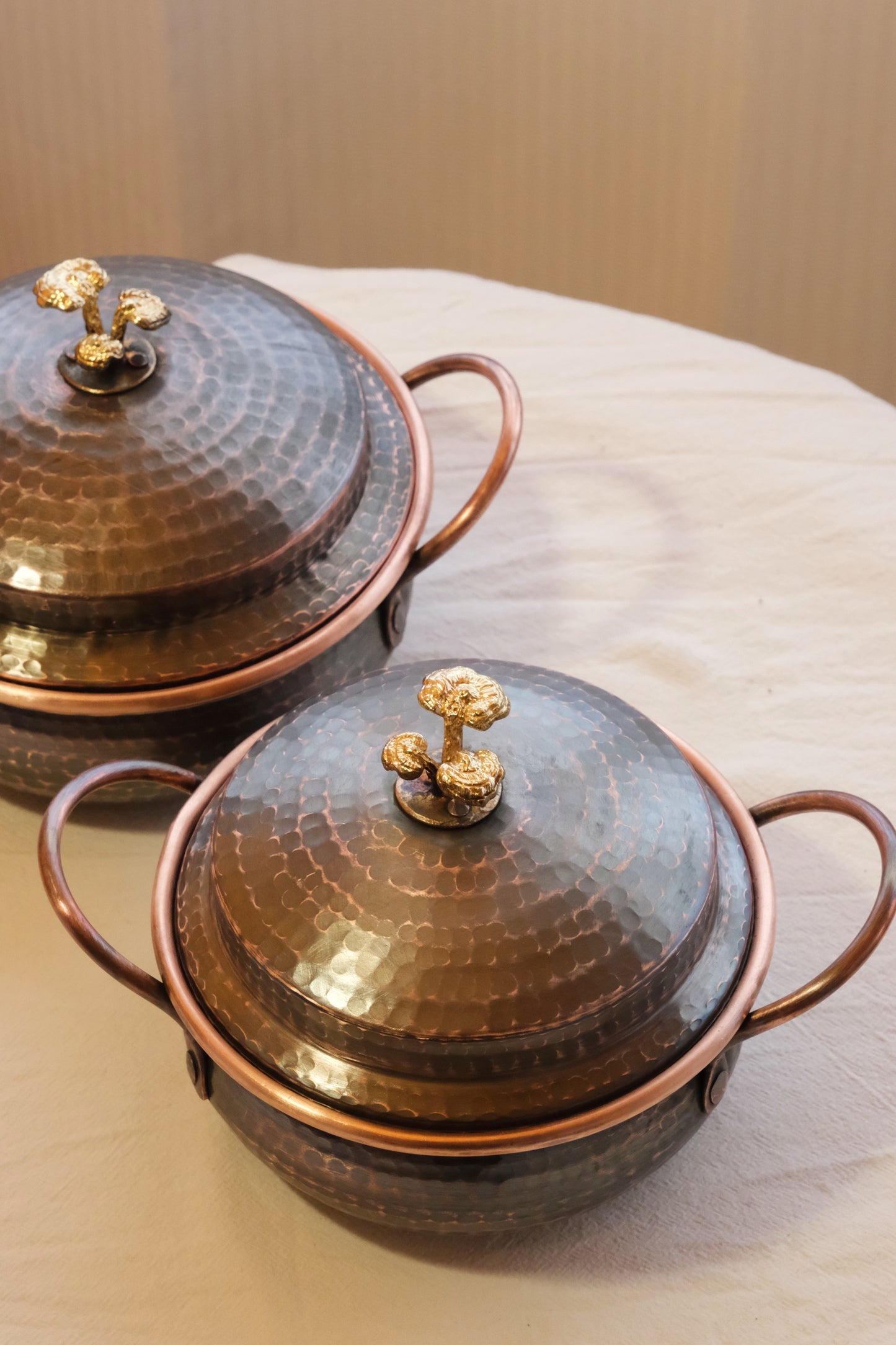 this is a copper cooking pot