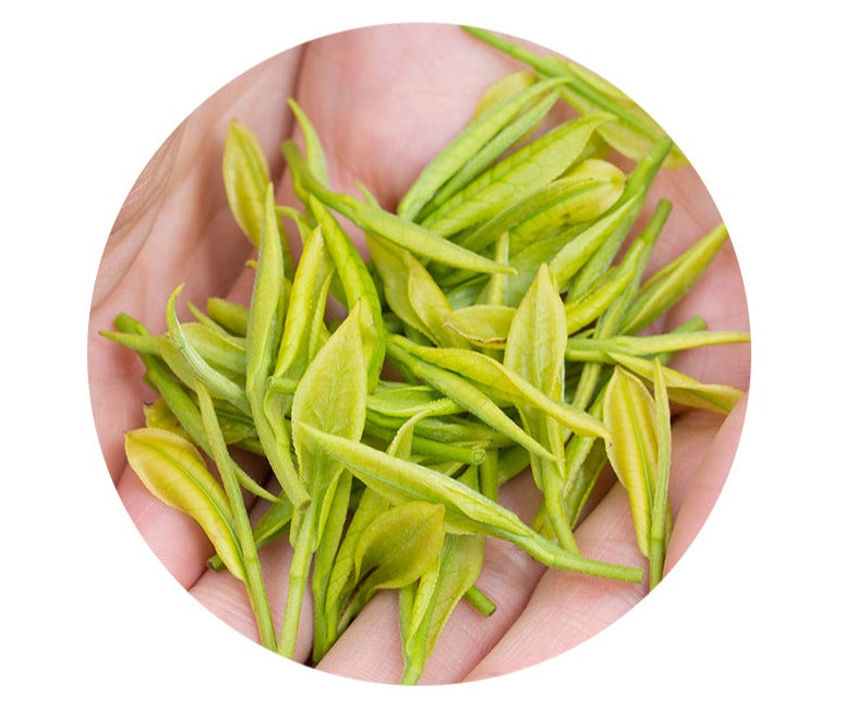 this is Chinese green tea Anji Bai