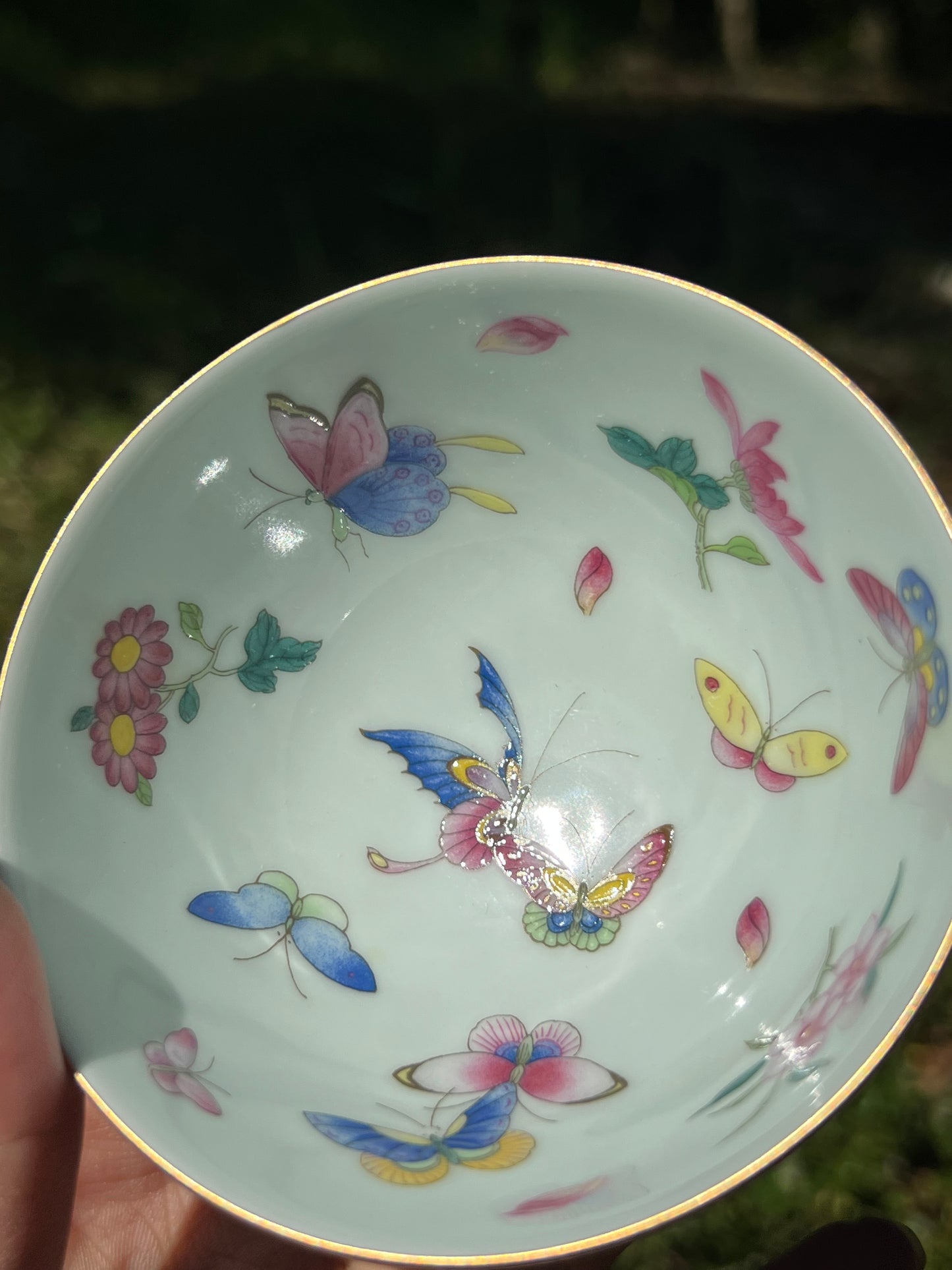 Hand Painted Chinese Butterfly Gaiwan Jingdezhen Master Ceramic Artwork