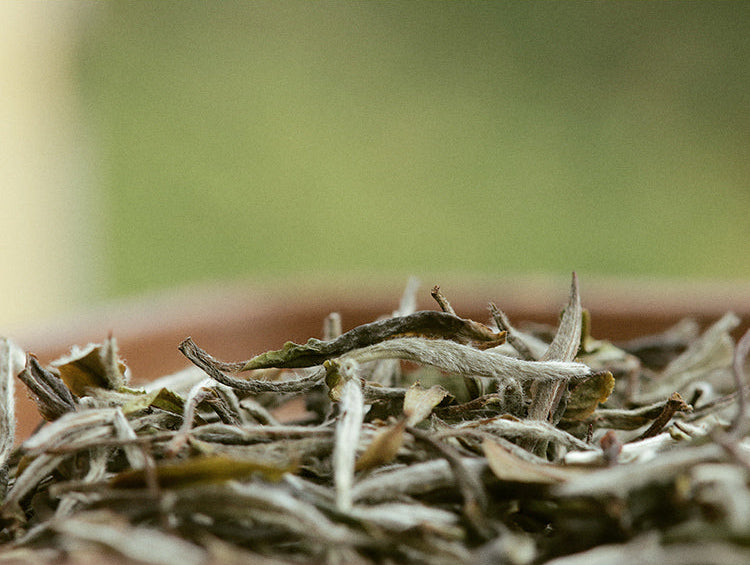 this is Chinese white peony baimudan white tea