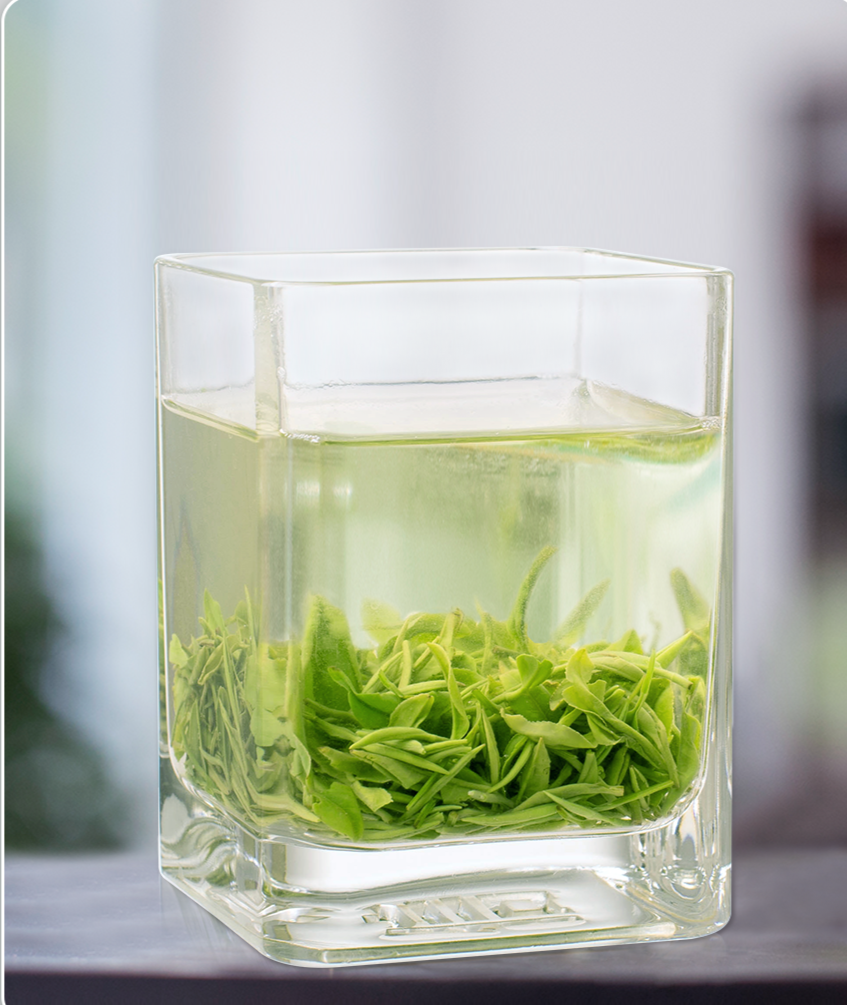 Chinese Green Tea Xinyang Maojian High Mountain Spring Tea