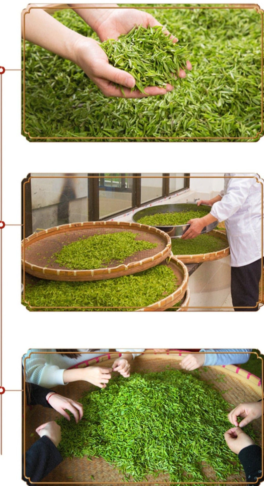 Chinese green tea making craft biluochun