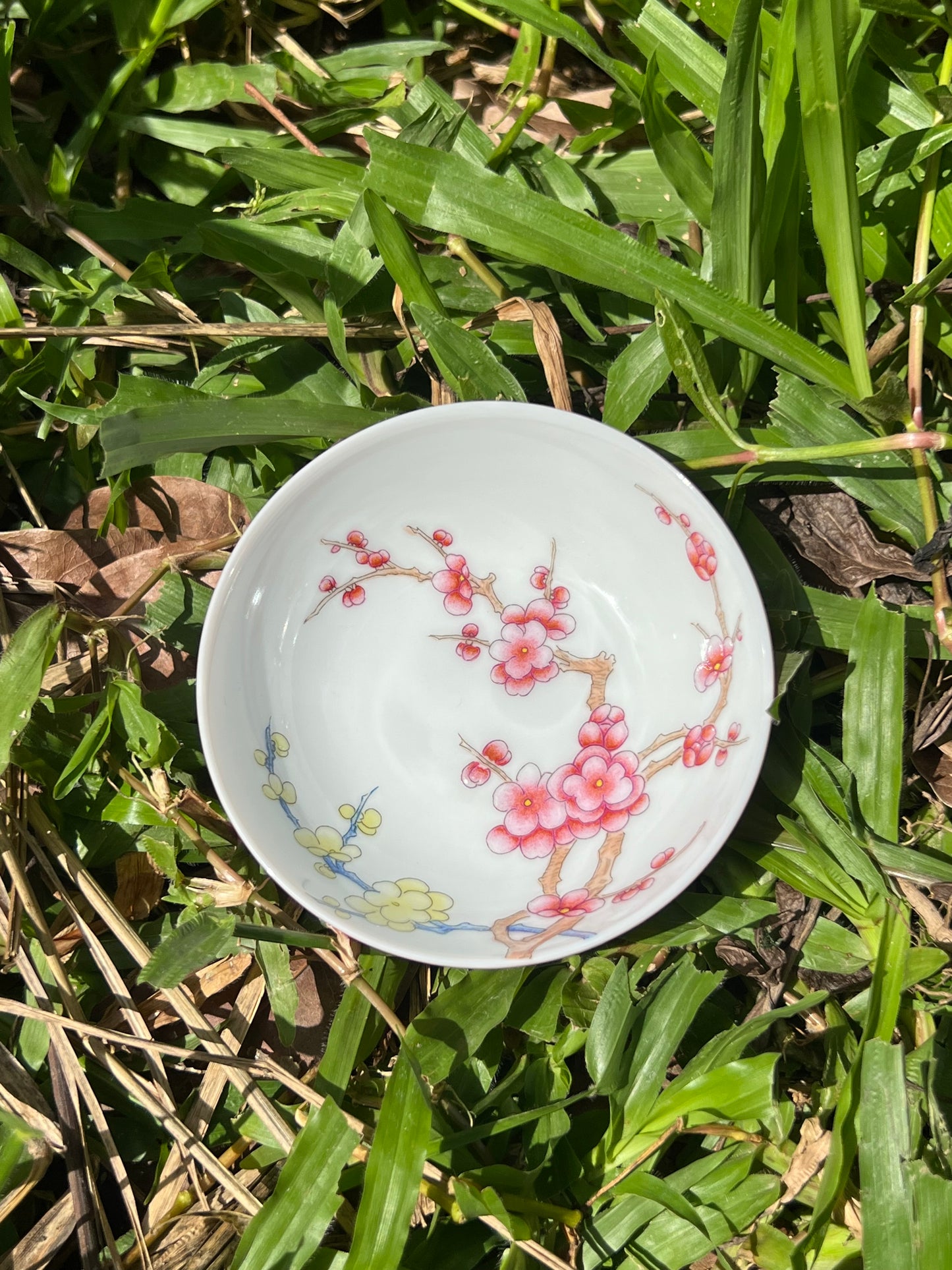 Hand Painted Chinese Enamel Plum Flower Teacup Jingdezhen Master Ceramic Artwork