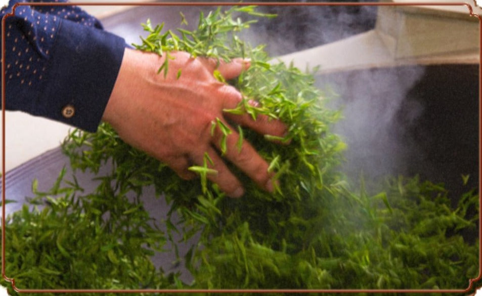 Chinese green tea making craft biluochun