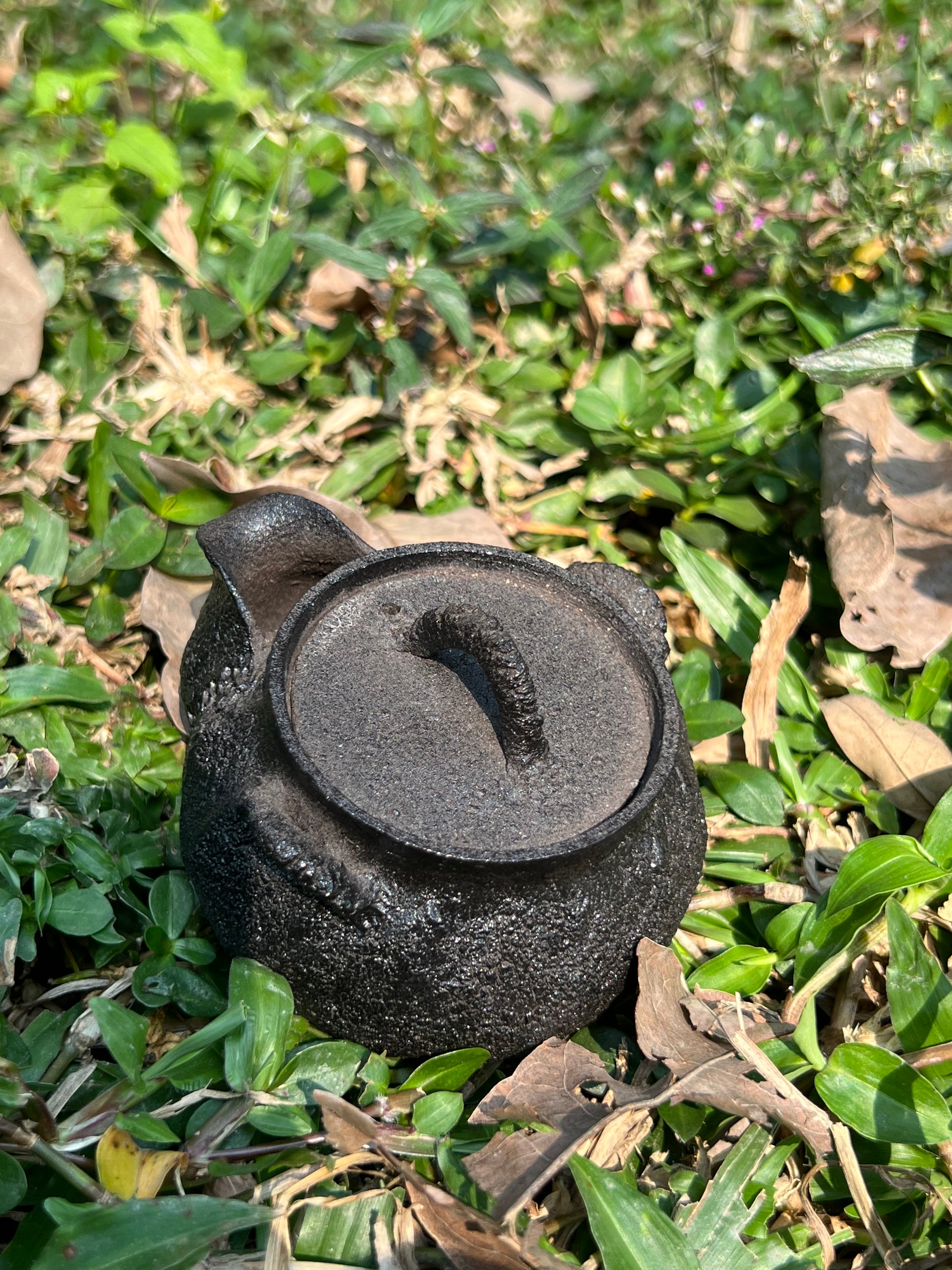 This is a purple clay teapot 