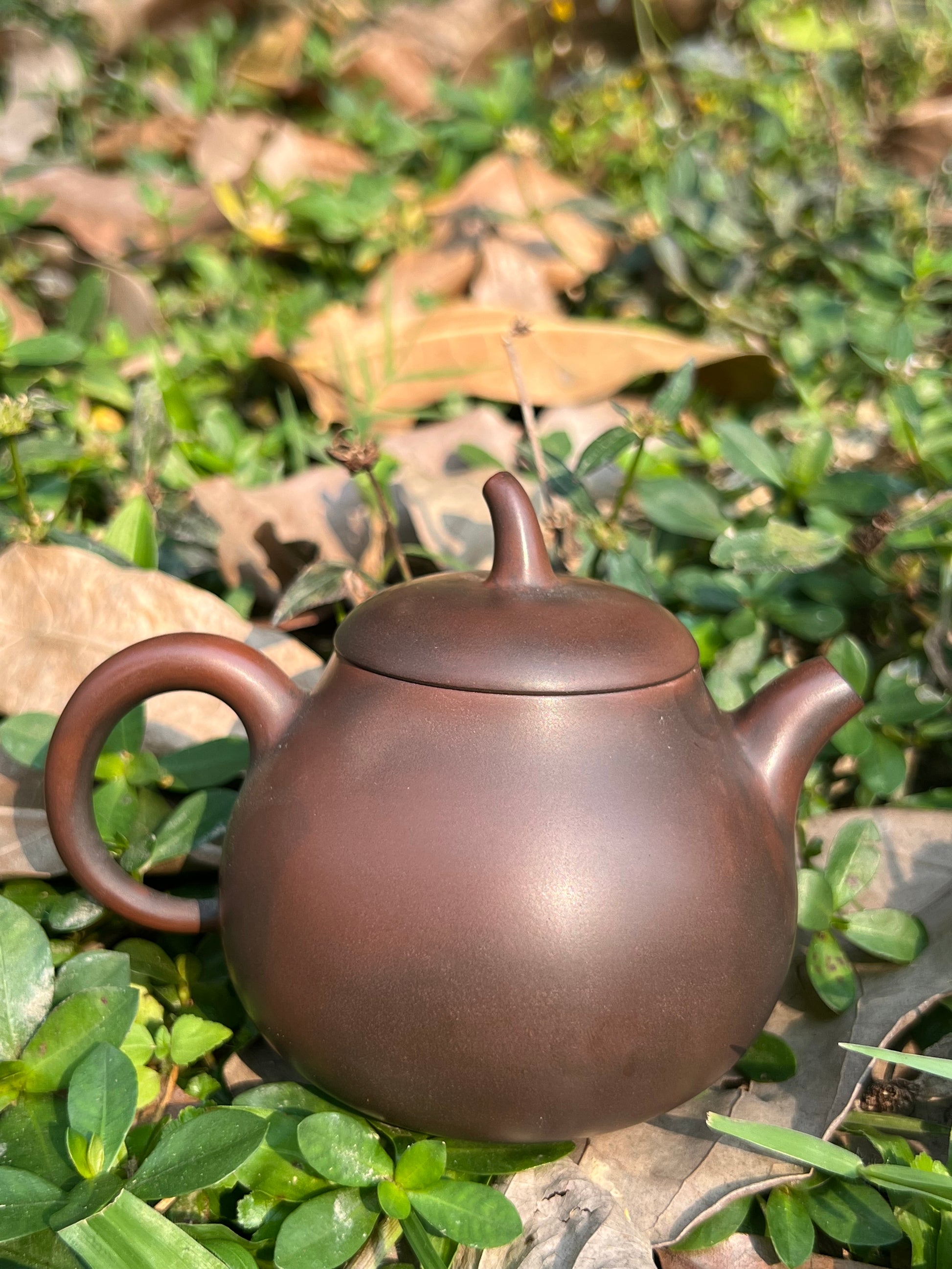 This is a Nixing teapot.this is a Chinese Nixing pottery clay teapot