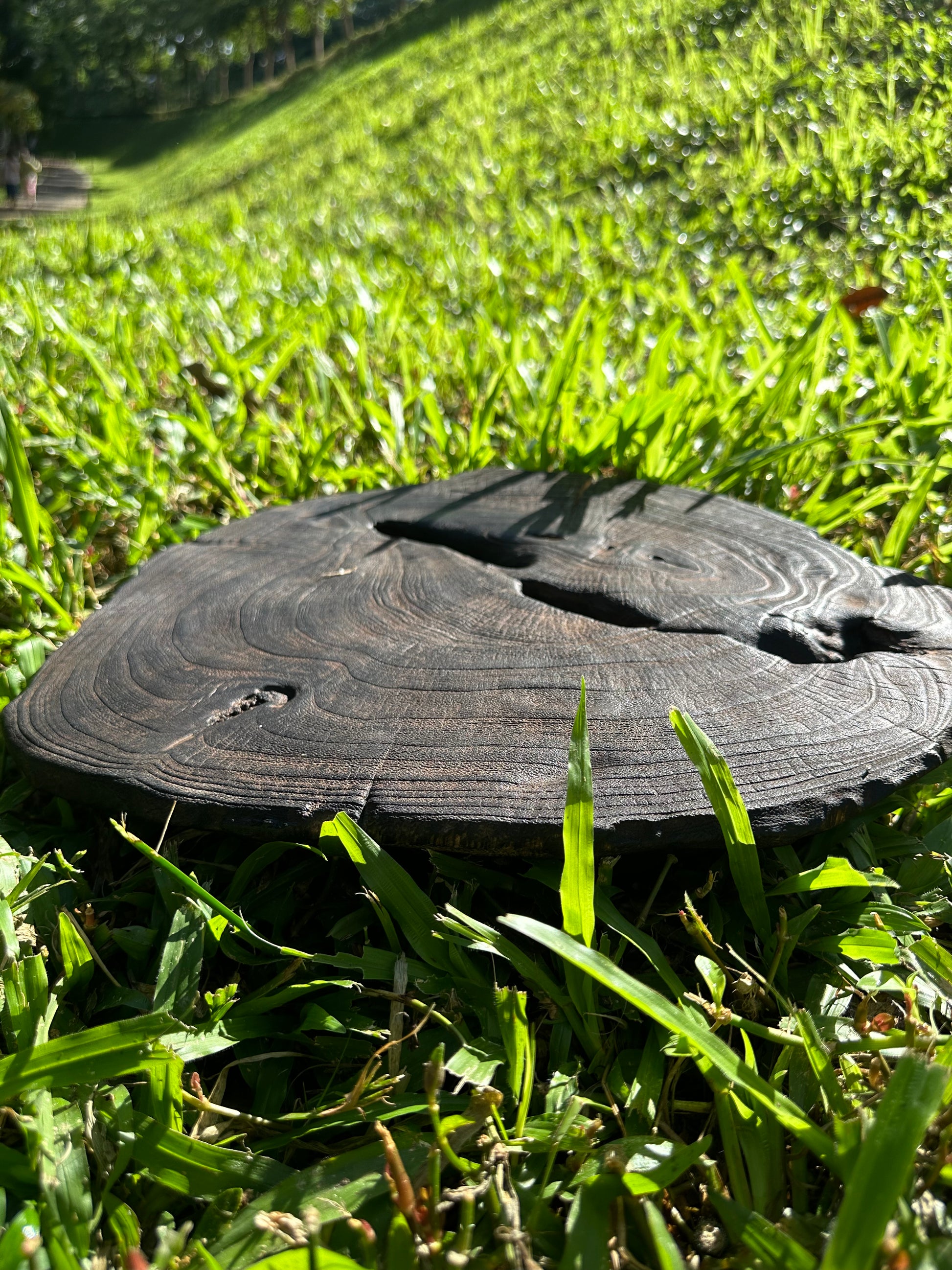 This is a black cedar tea tray tea boat.This is a wooden tea table.