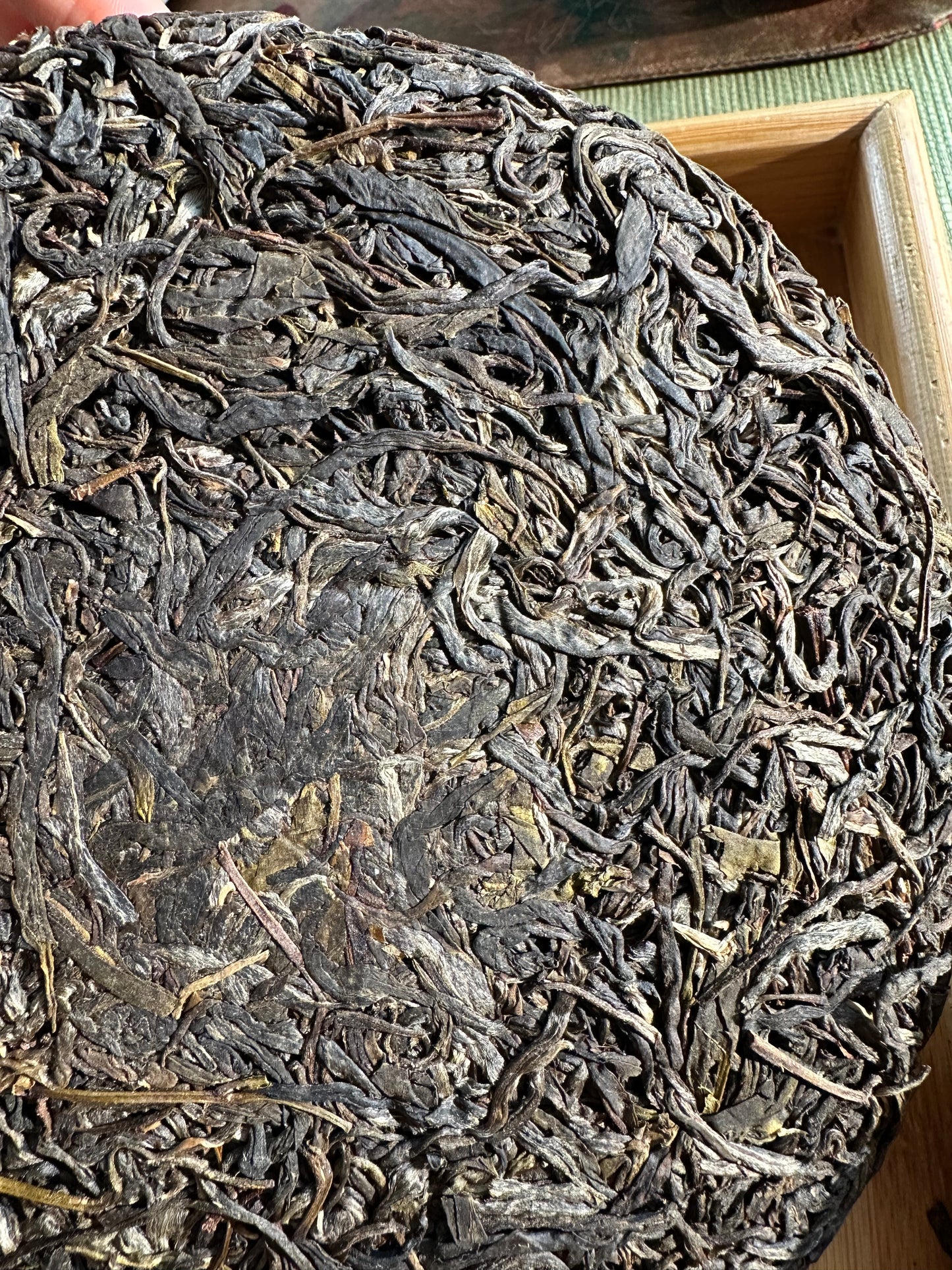 this is Chinese Yunnan Gushu raw puerh tea Sheng Puerh