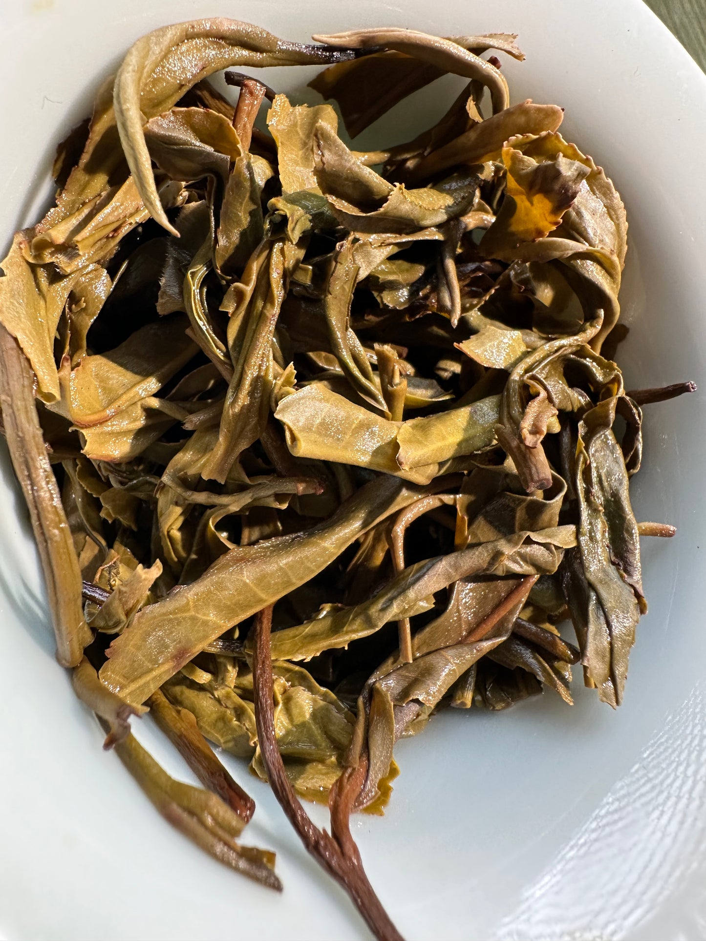 this is Chinese Yunnan Gushu raw puerh tea Sheng Puerh