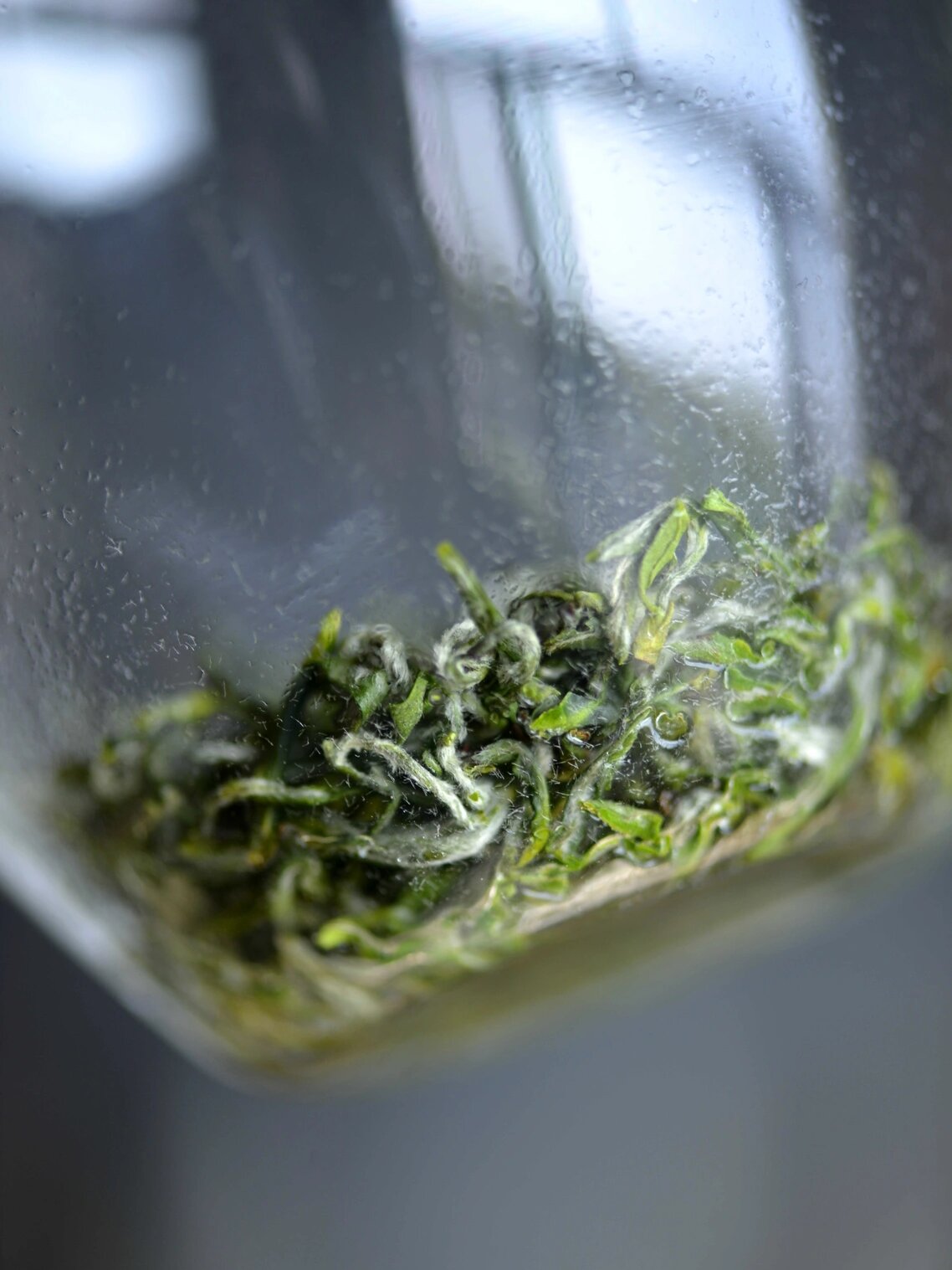 Chinese green tea making craft biluochun