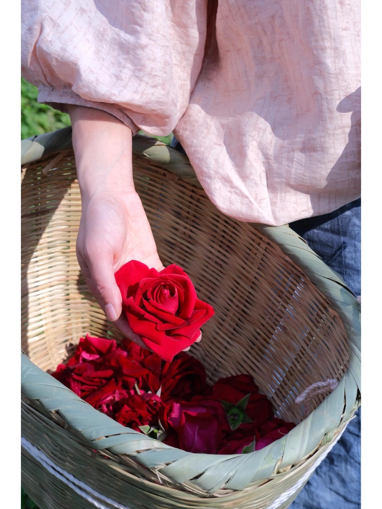 This is Chinese Yunnan dried rose edible rose