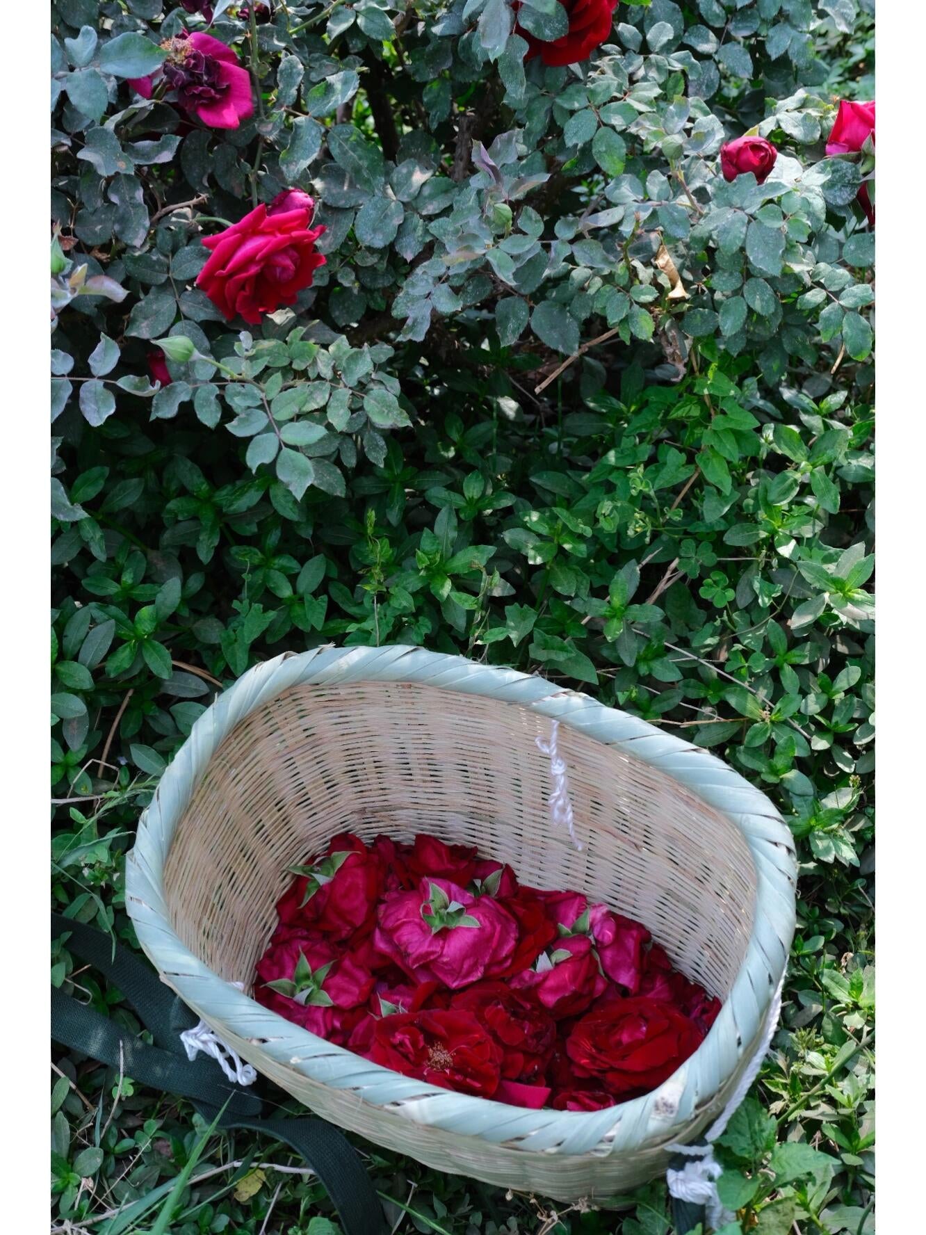 This is Chinese Yunnan dried rose edible rose