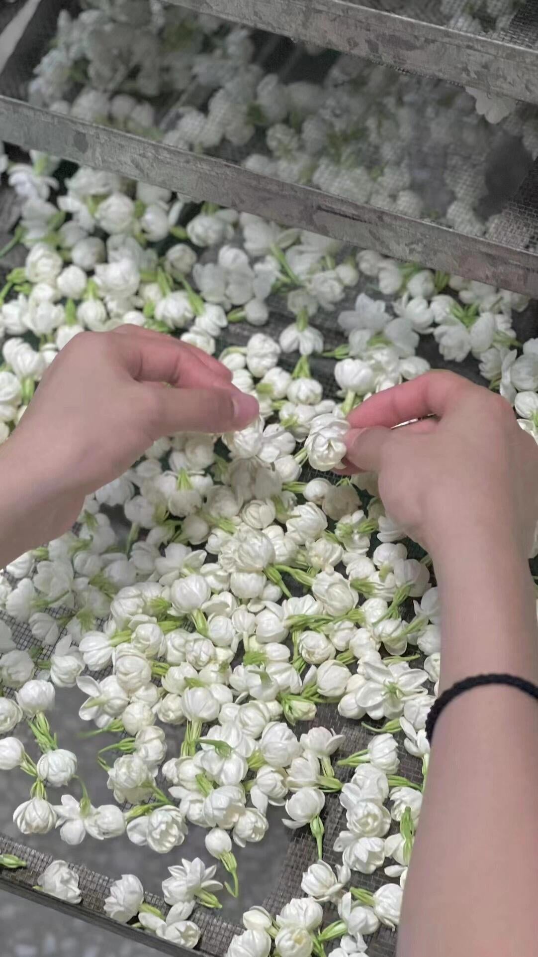 This is Chinese dried jasmine flower bud tea