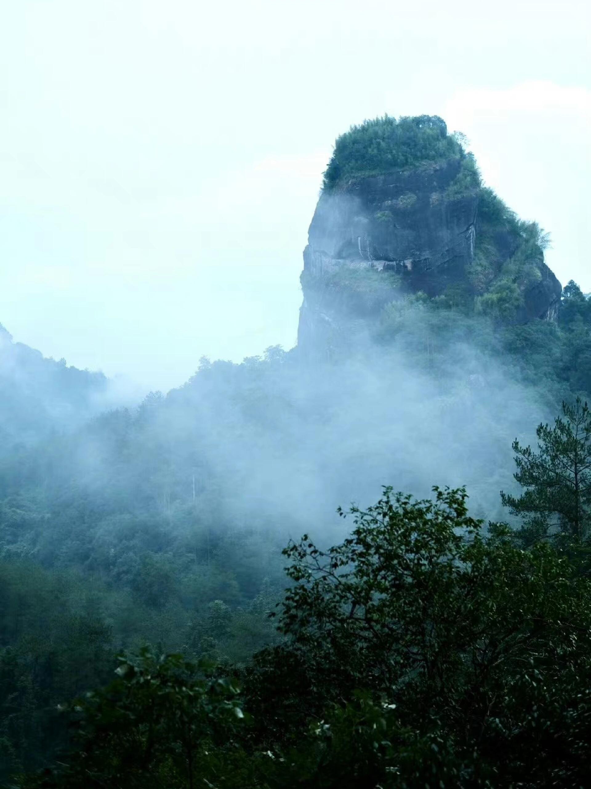 this is Chinese big red robe oolong tea da hong pao