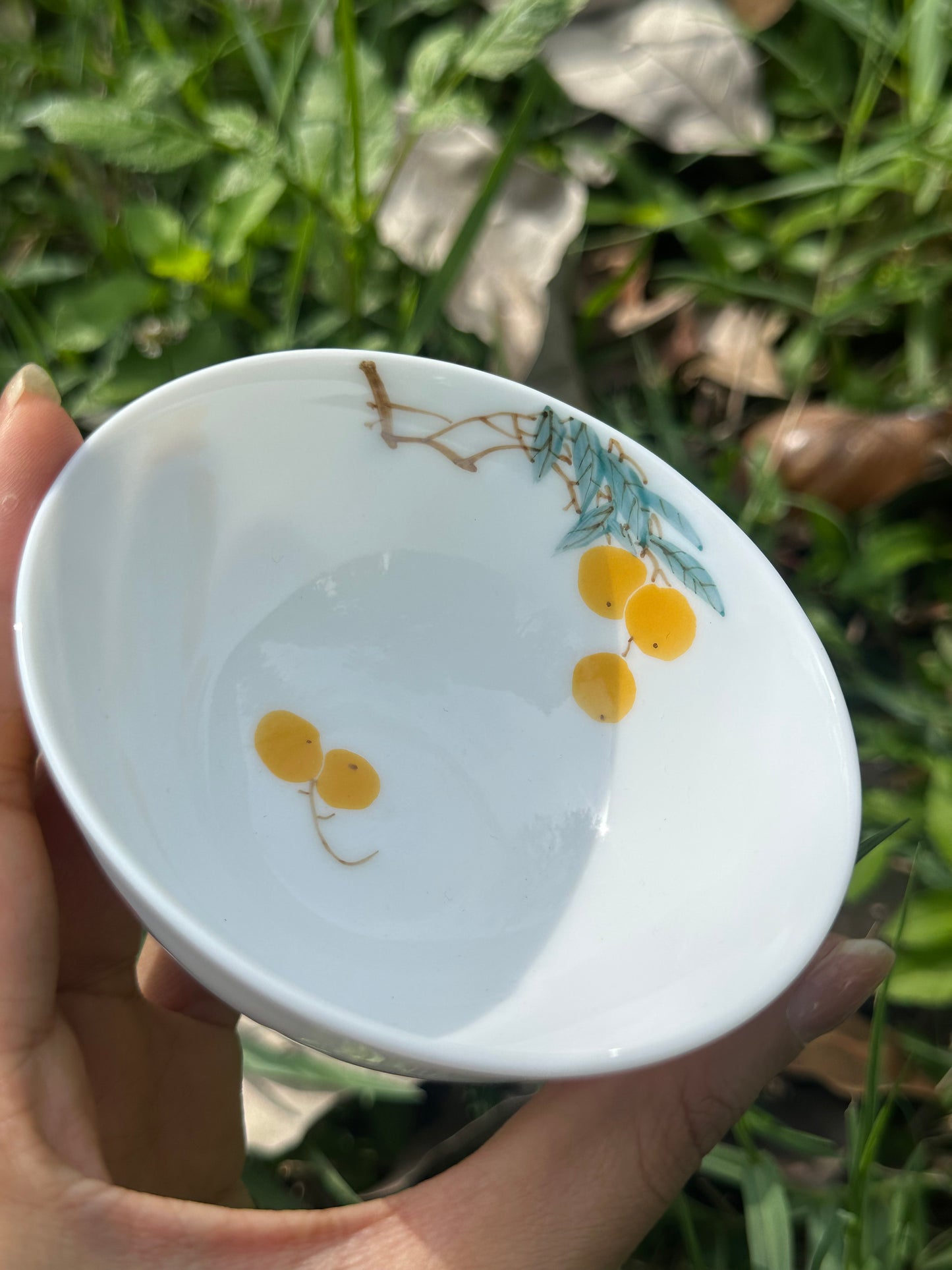 Handpainted Chinese Freehand Brush Work Loquat Pattern Teapot Gaiwan Set