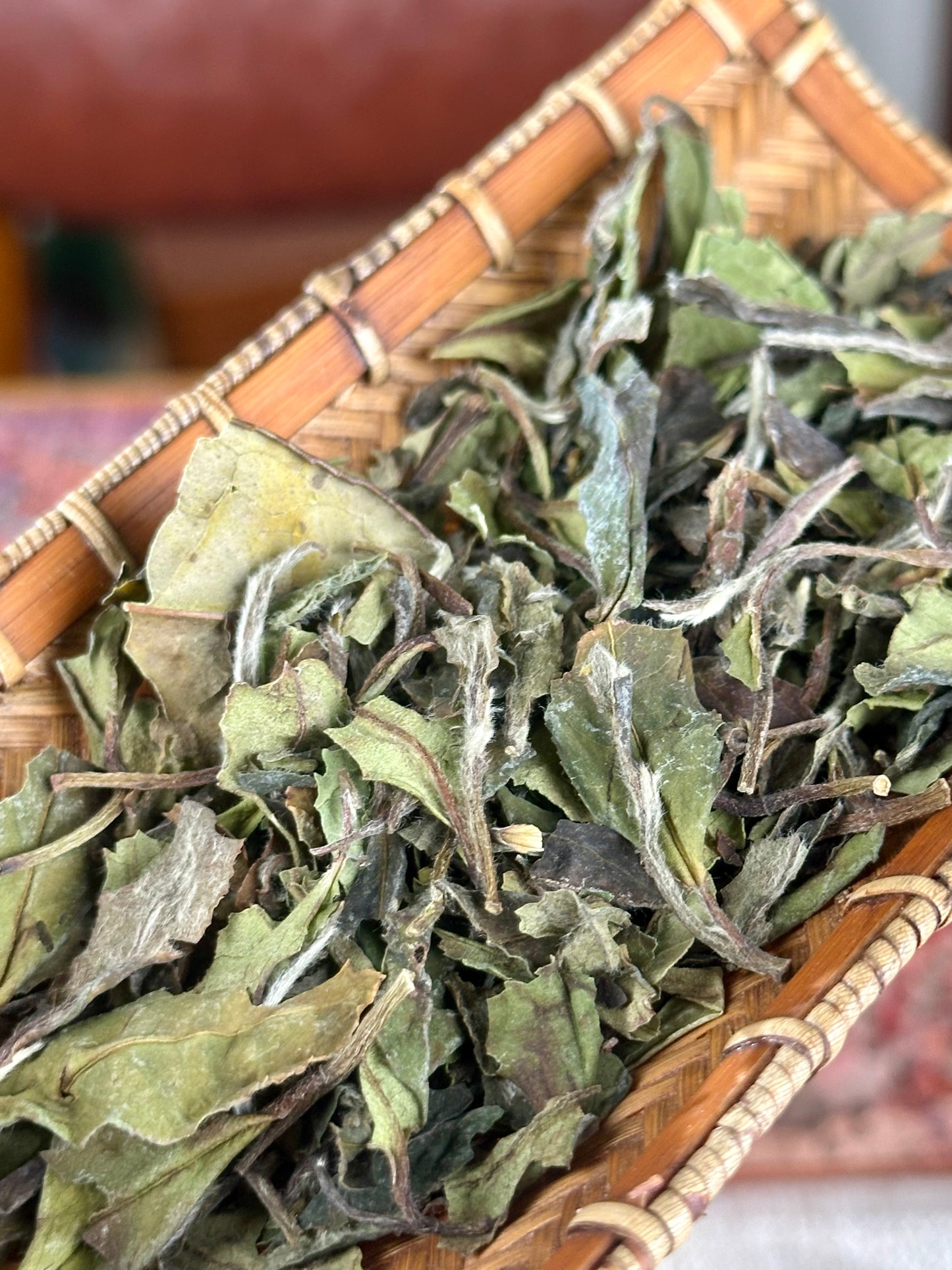 2019 Precious Gongmei White Tea Purple Bud Unique Floral Cai Cha