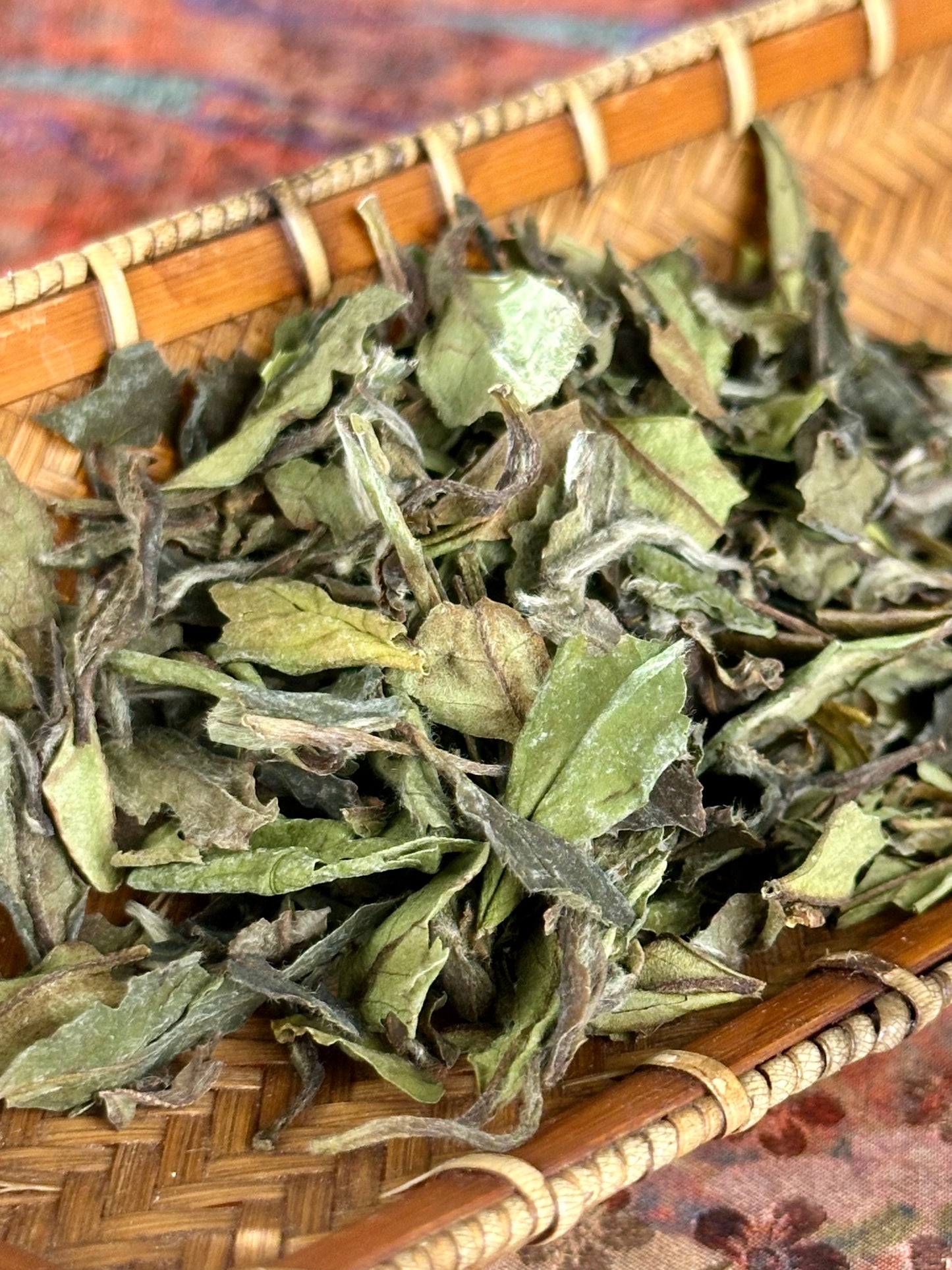 2019 Precious Gongmei White Tea Purple Bud Unique Floral Cai Cha
