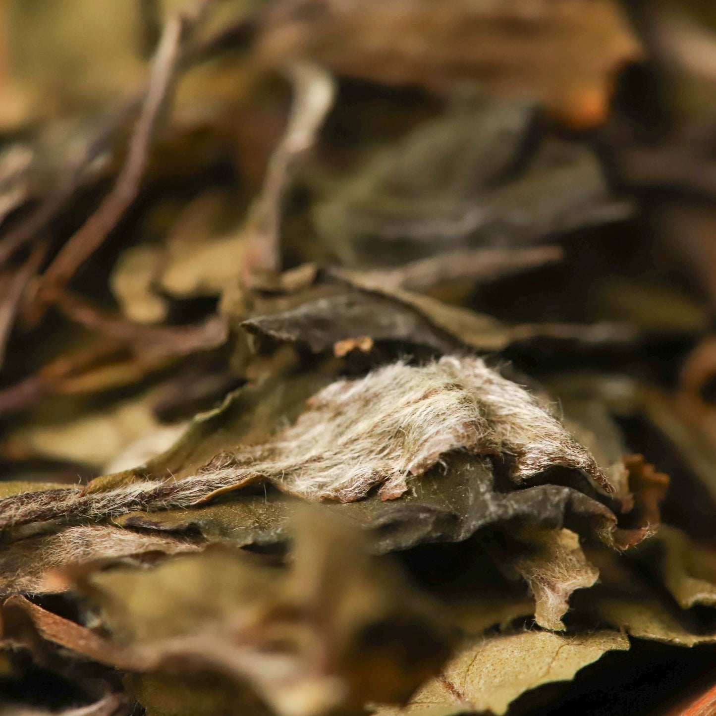 2019 Precious Gongmei White Tea Purple Bud Unique Floral Cai Cha