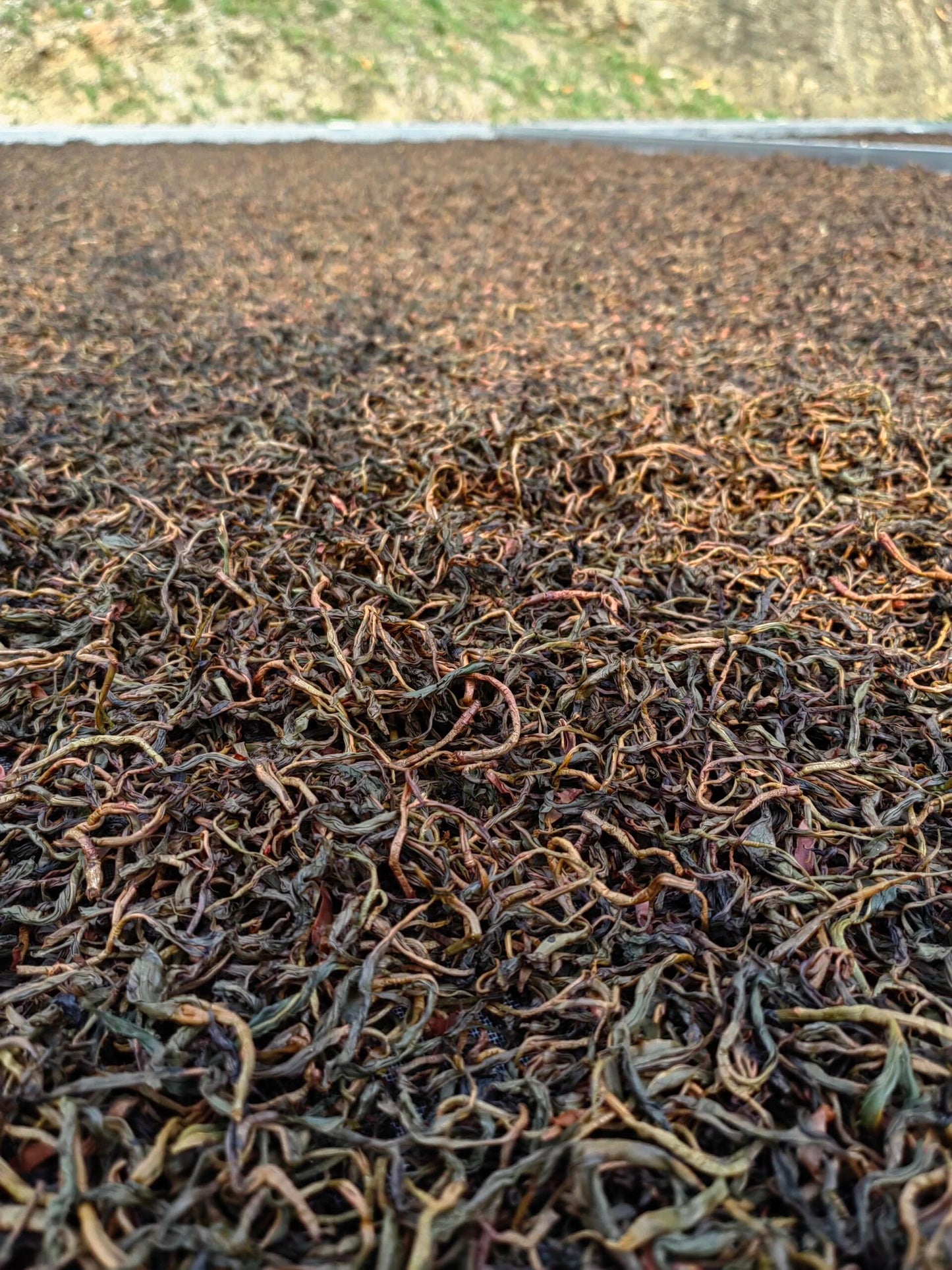 Chinese Yunnan Gushu Sun-dried Black Tea Aged Tree Red Tea Dianhong Mini Tea Cake